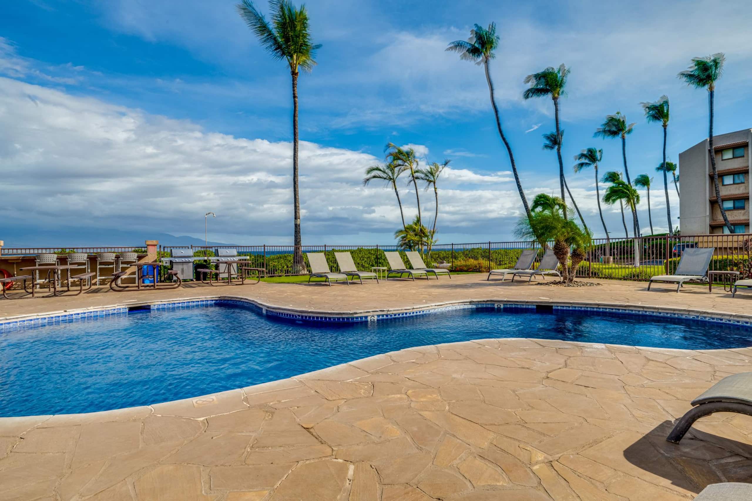 Oceanfront with Gorgeous Views! - Image 3