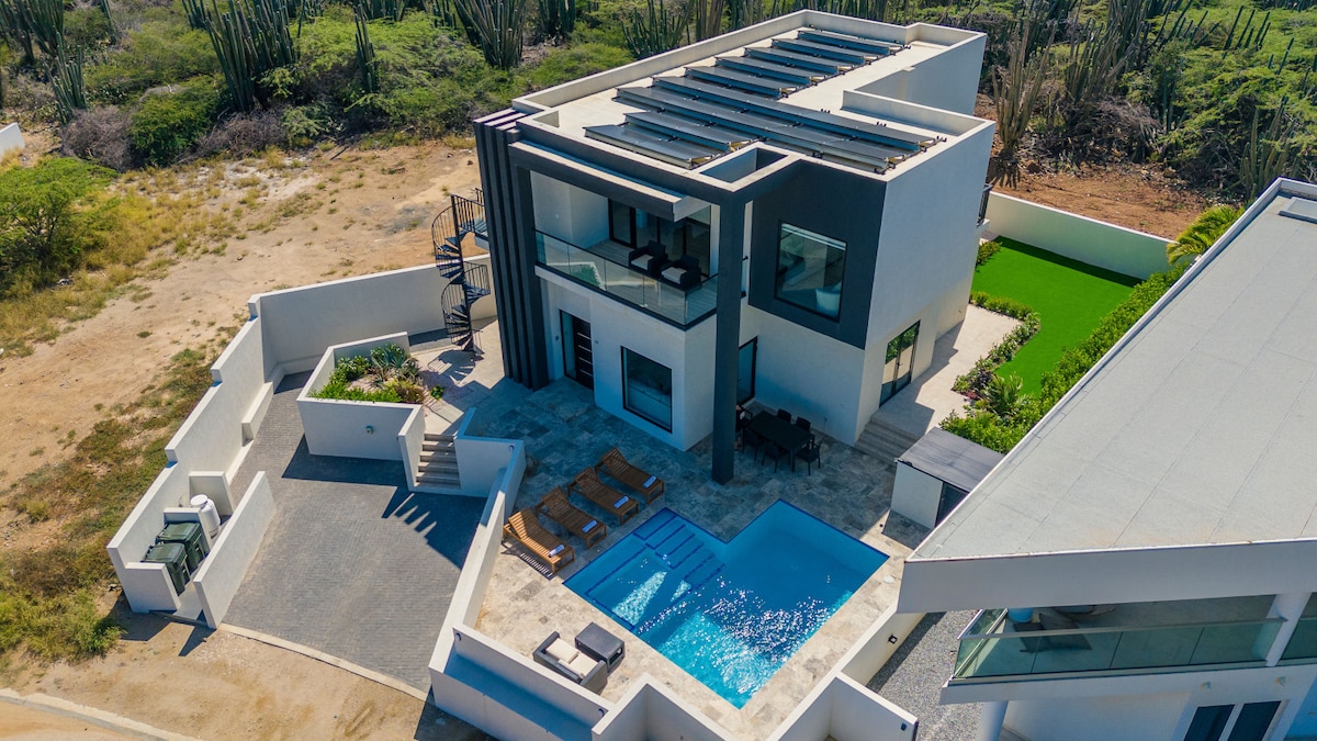 An aerial view of a modern villa showcases a private swimming pool surrounded by lounge chairs. The sleek architecture is highlighted by large windows and outdoor seating areas. Lush greenery and cacti create a natural backdrop, enhancing the villa's serene environment.