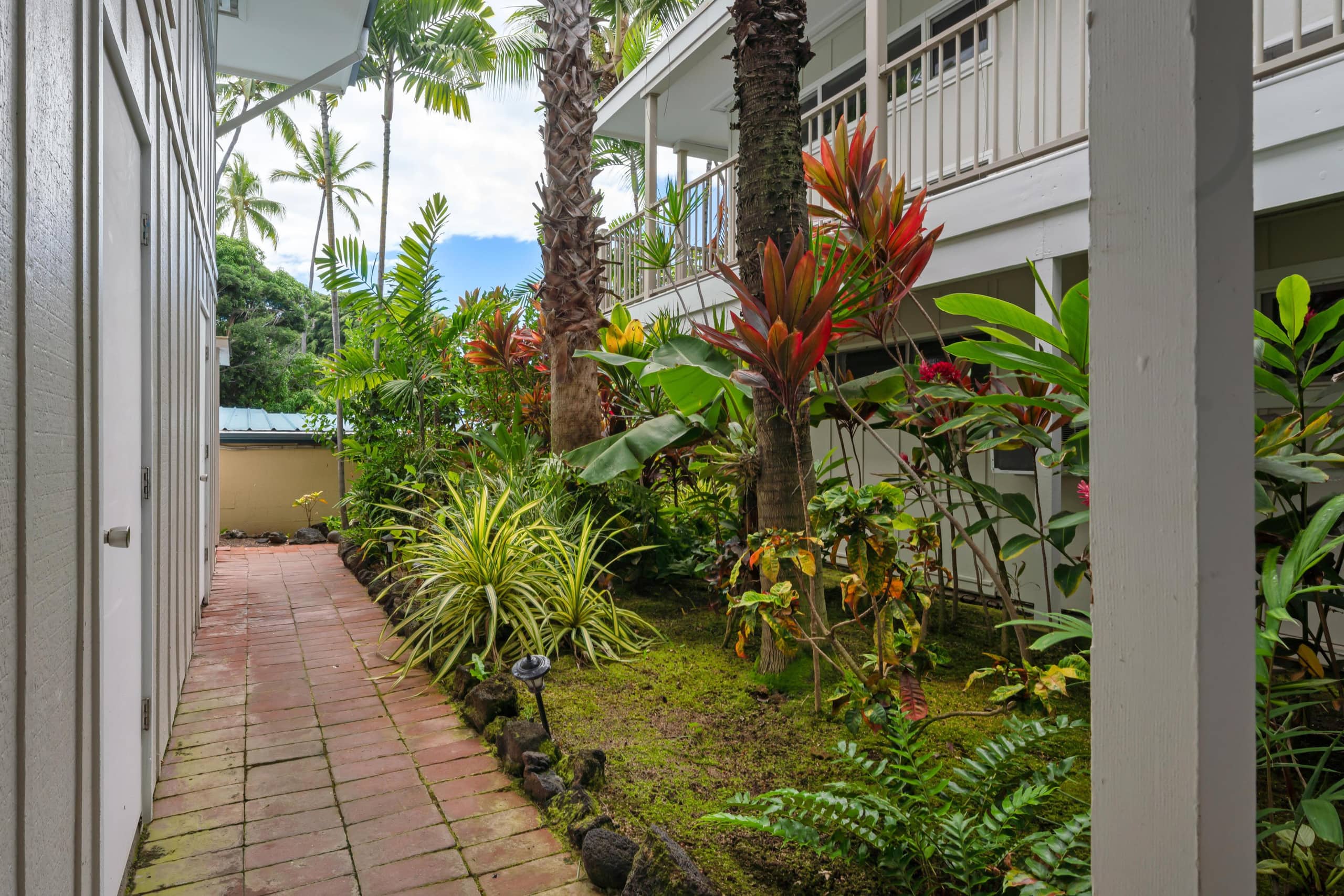 Condo in Kailua-Kona · ★5.0 · 1 bedroom · 2 beds · 1 bath - Image 28