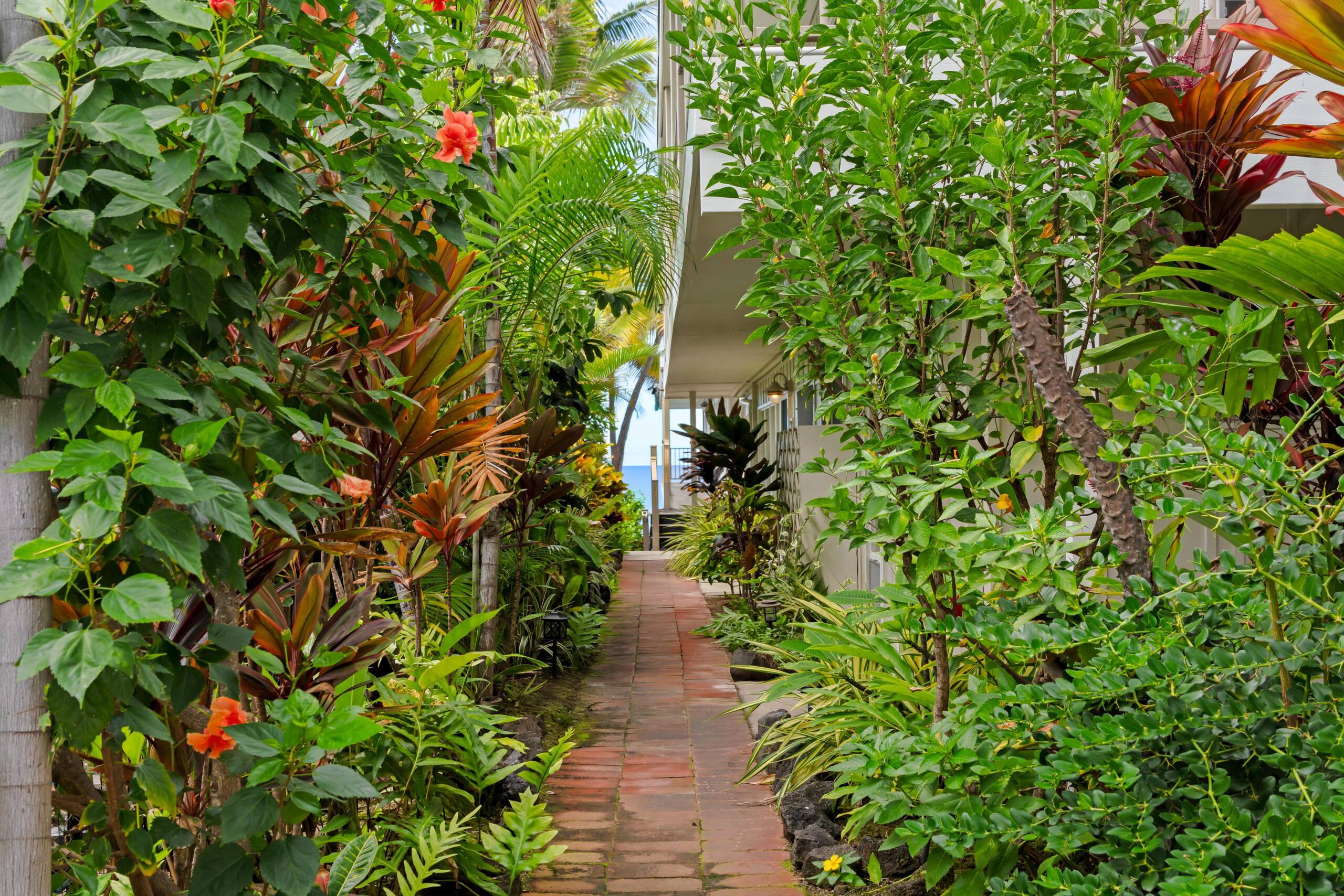Condo in Kailua-Kona · ★5.0 · 1 bedroom · 2 beds · 1 bath - Image 31