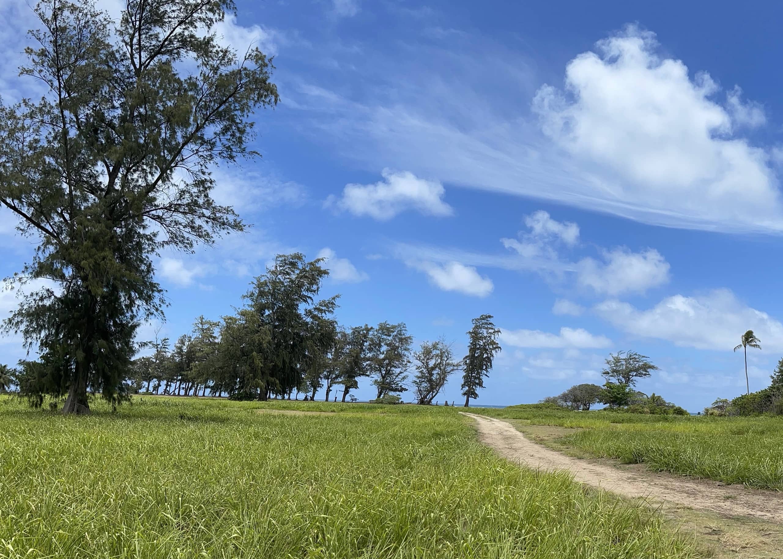 Condo in Kapaa · ★4.76 · 1 bedroom · 2 beds · 1 shared bath - Image 30