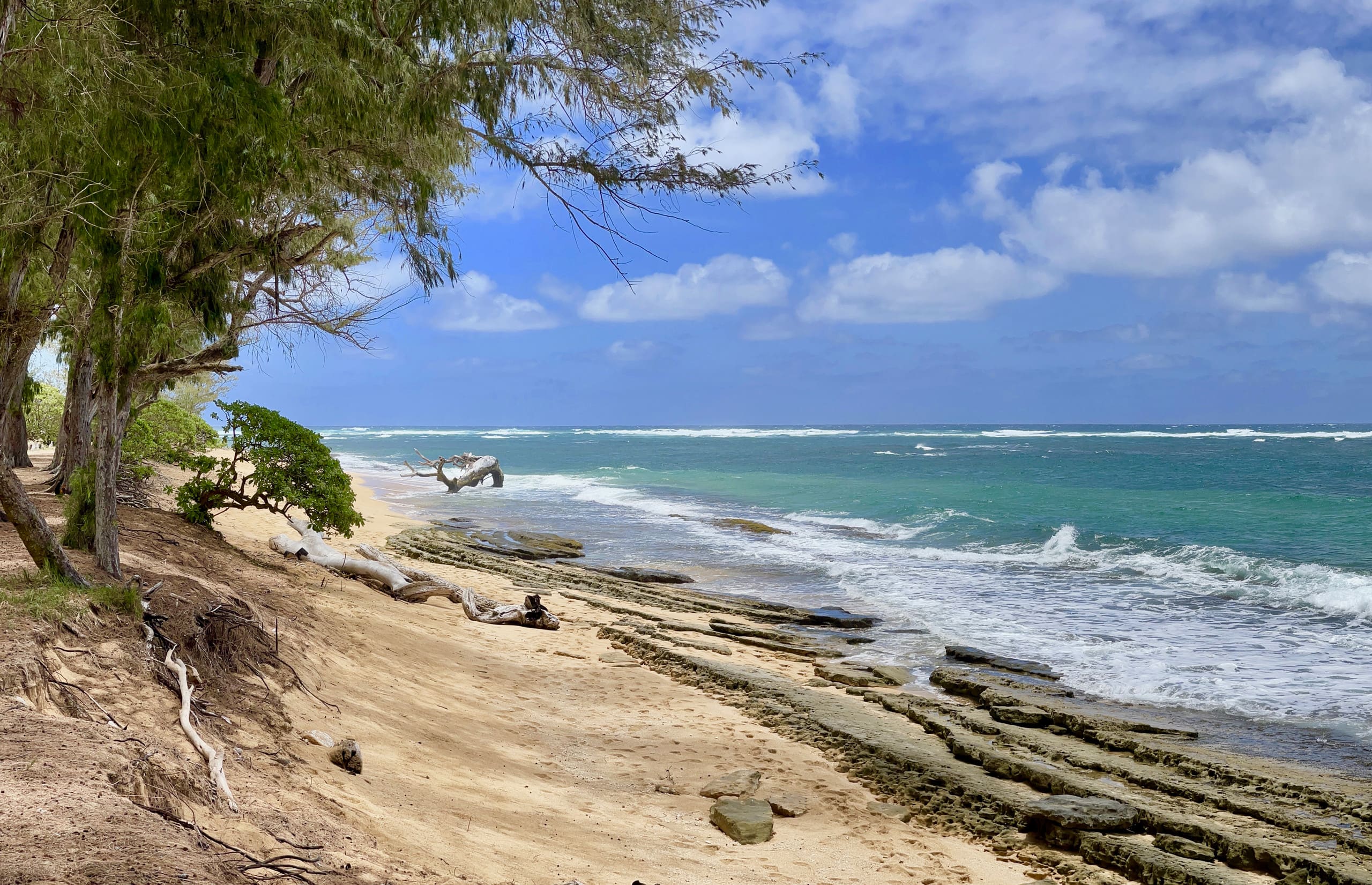 Condo in Kapaa · ★4.76 · 1 bedroom · 2 beds · 1 shared bath - Image 35
