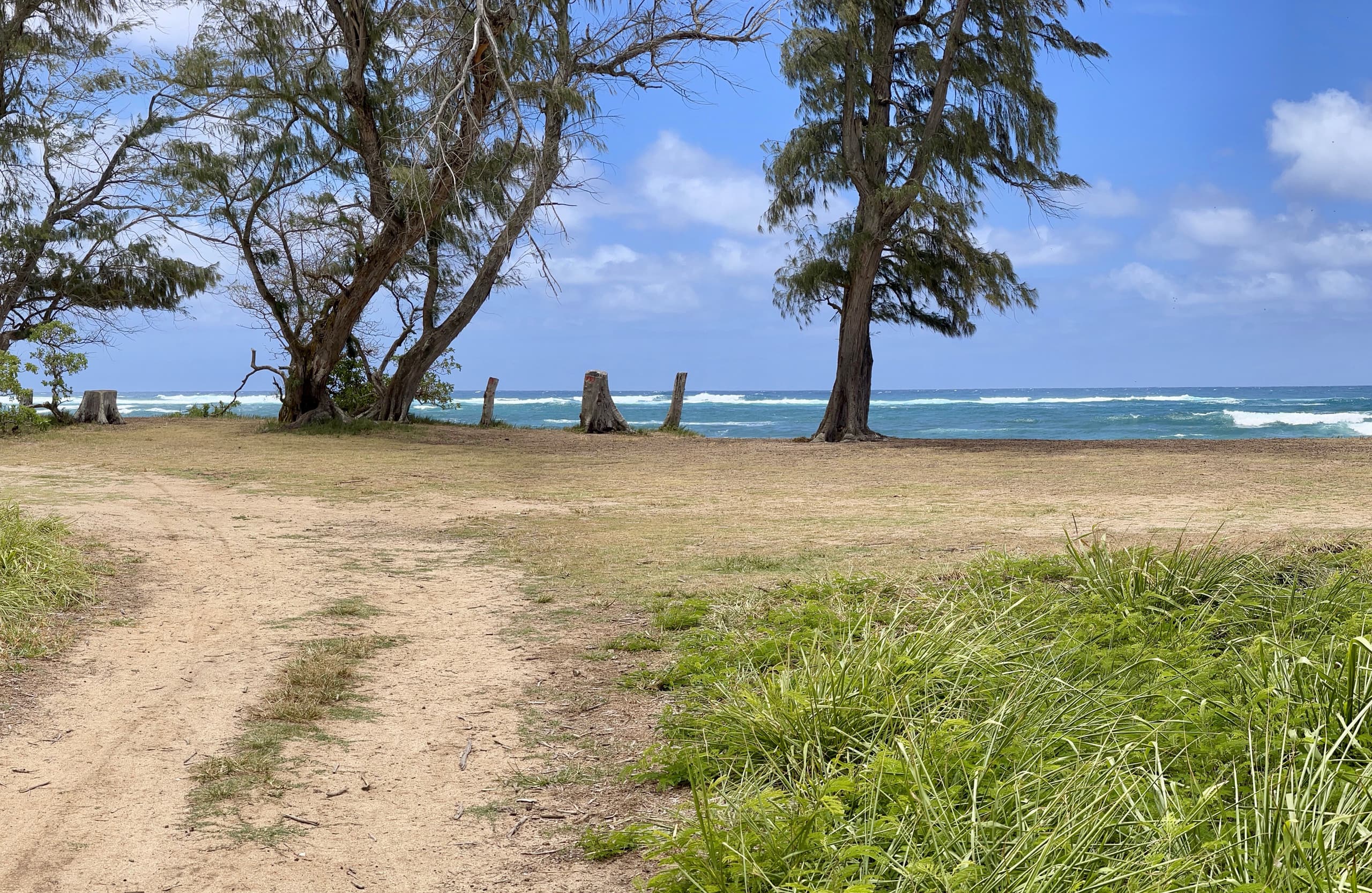 Condo in Kapaa · ★4.76 · 1 bedroom · 2 beds · 1 shared bath - Image 32