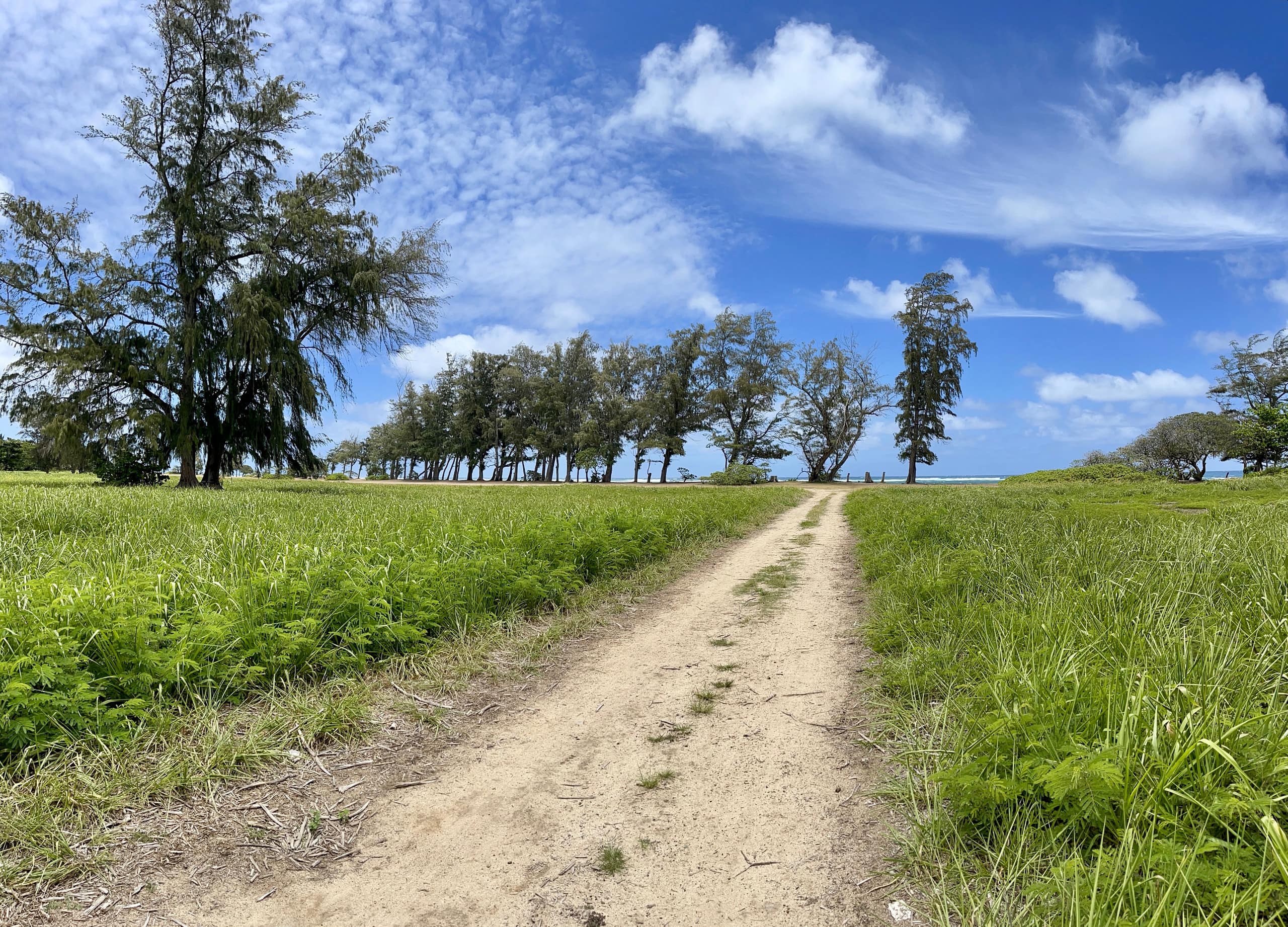 Condo in Kapaa · ★4.76 · 1 bedroom · 2 beds · 1 shared bath - Image 29