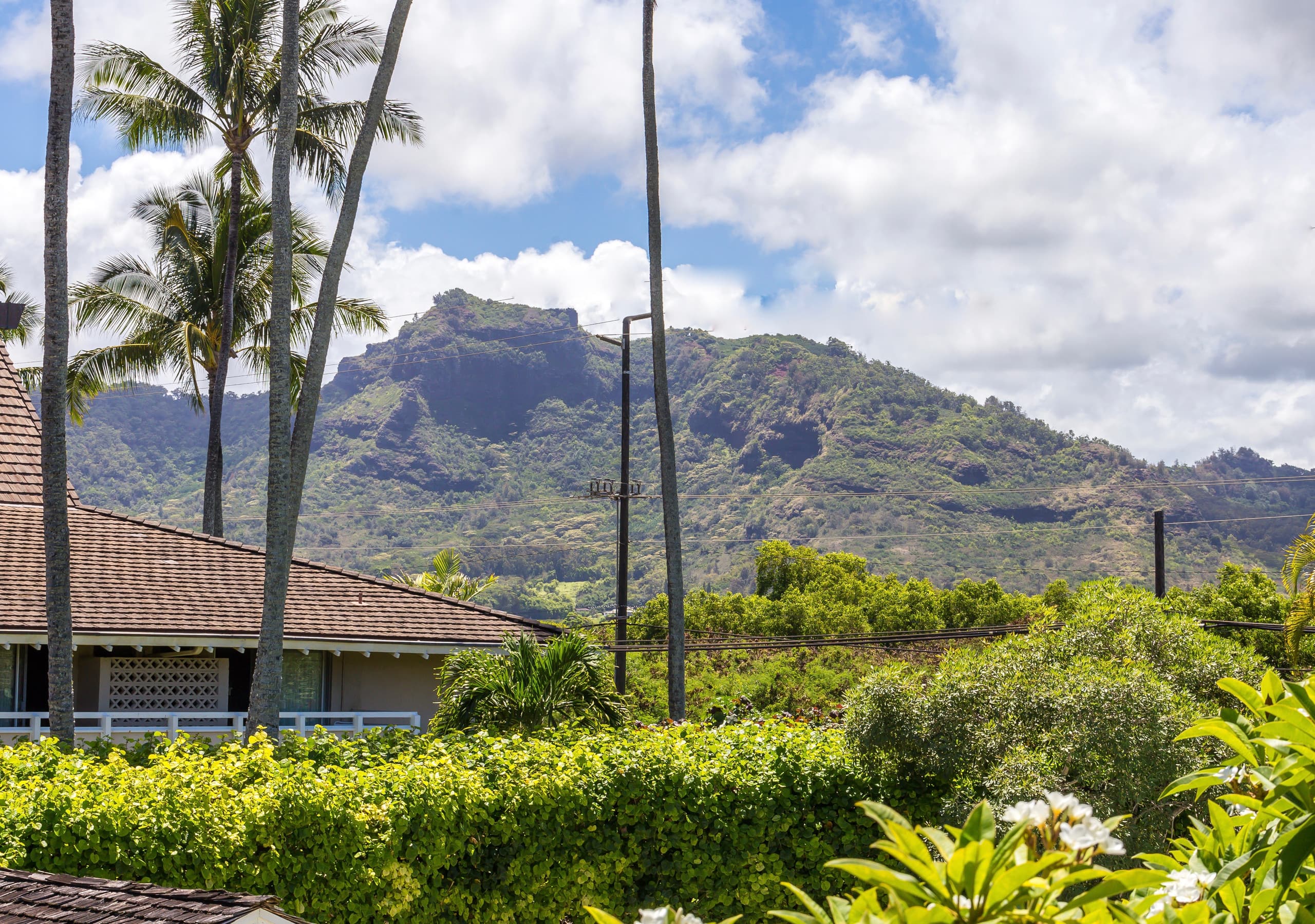Condo in Kapaa · ★4.76 · 1 bedroom · 2 beds · 1 shared bath - Image 26