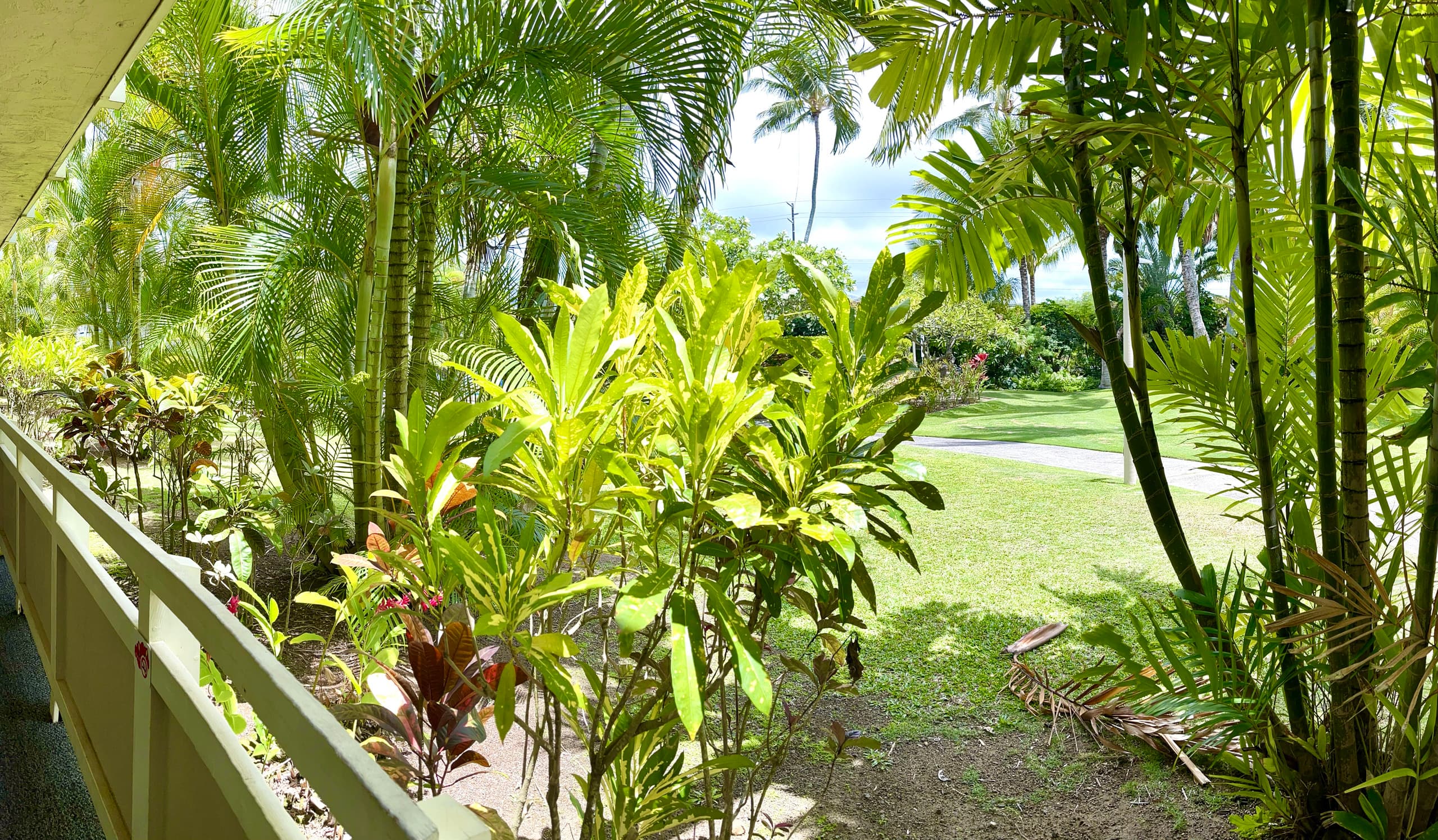 Condo in Kapaa · ★4.76 · 1 bedroom · 2 beds · 1 shared bath - Image 39