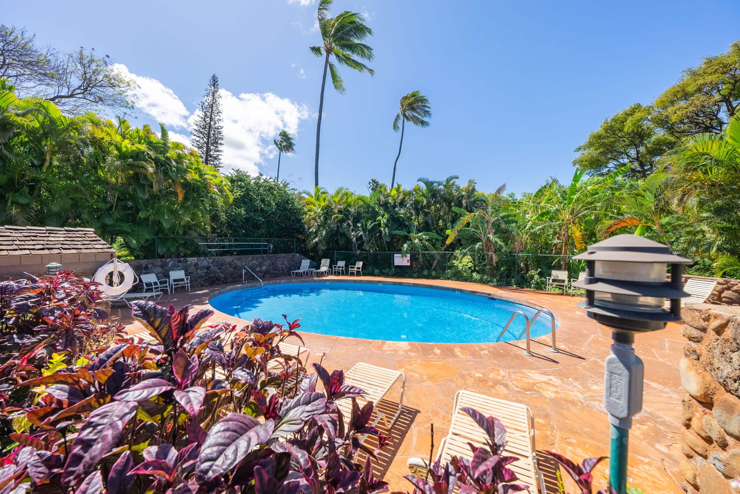 Beautiful Condo Great Special Rates! AC! - Image 62
