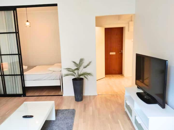 Brilliant Central Apartment Helsinki - Helsinki