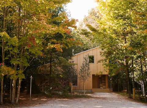 Forest Cabin at Parcel