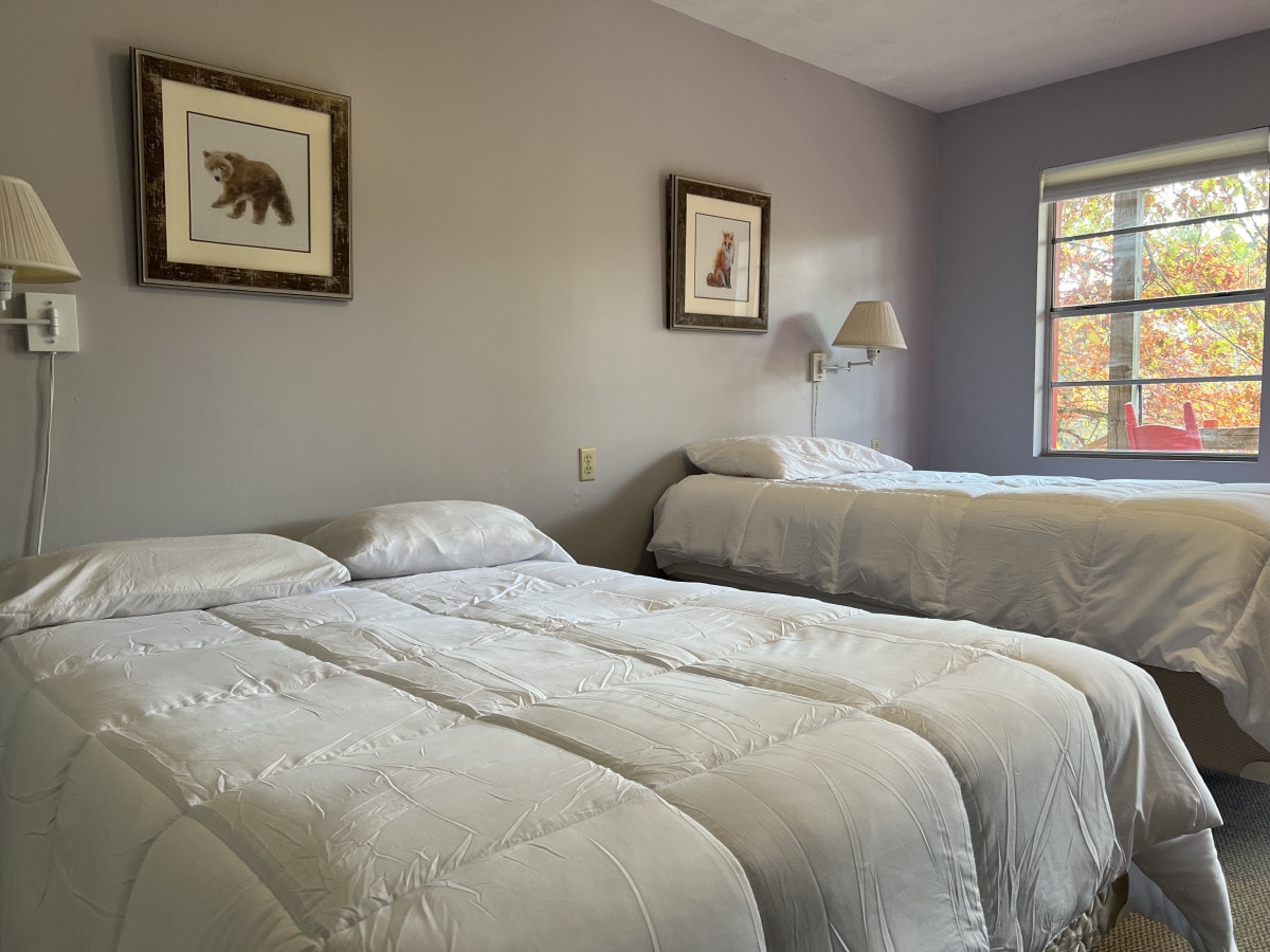 A well-lit room features two spacious beds with white bedding, set against light gray walls. Framed artwork hangs on the walls, and a window offers a view of colorful foliage outside, enhancing the room's natural light.