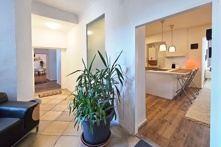 Red-Orange Palm – 200m2, central with style