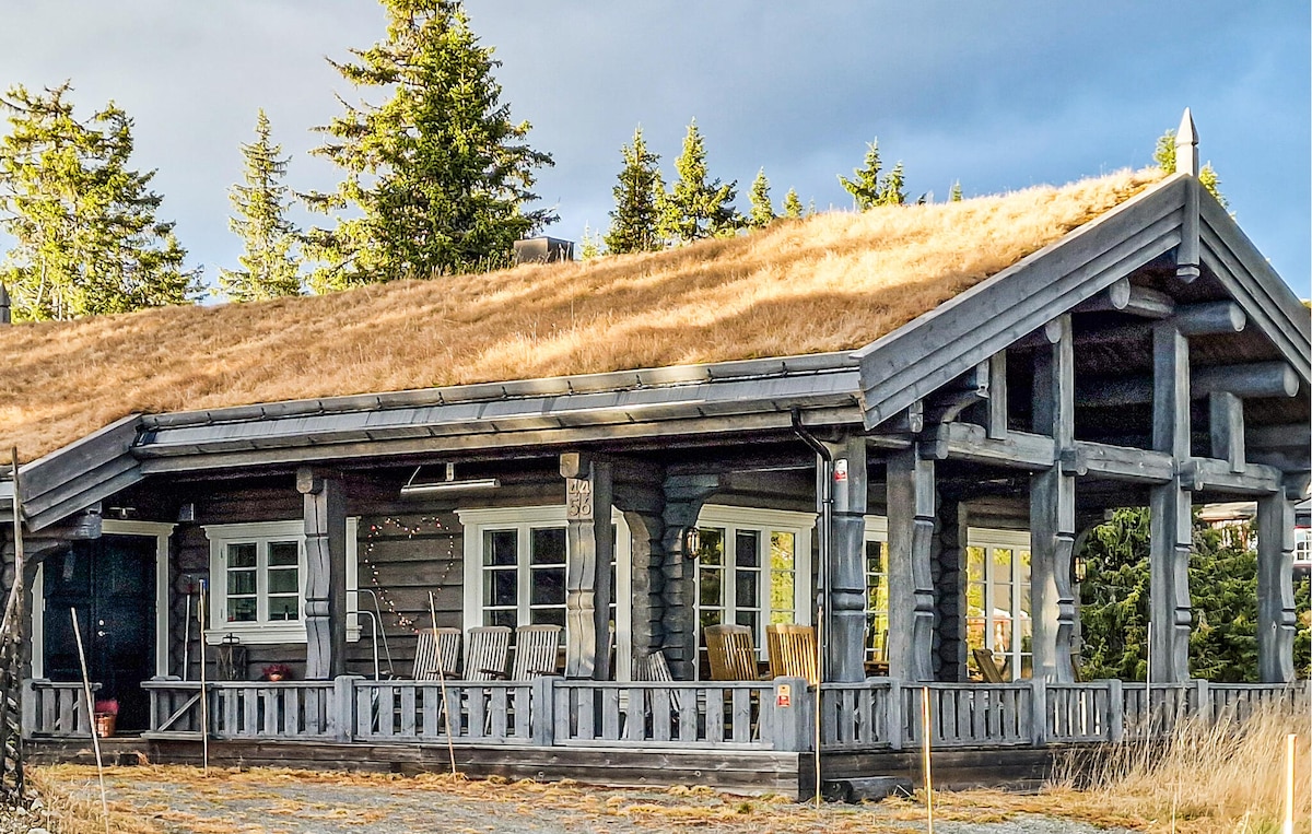 A spacious holiday home features a distinctive grassy roof and a wide front porch lined with wooden rocking chairs. Large windows allow for ample natural light, framed by rustic wooden beams. Surrounding evergreens enhance the natural setting.
