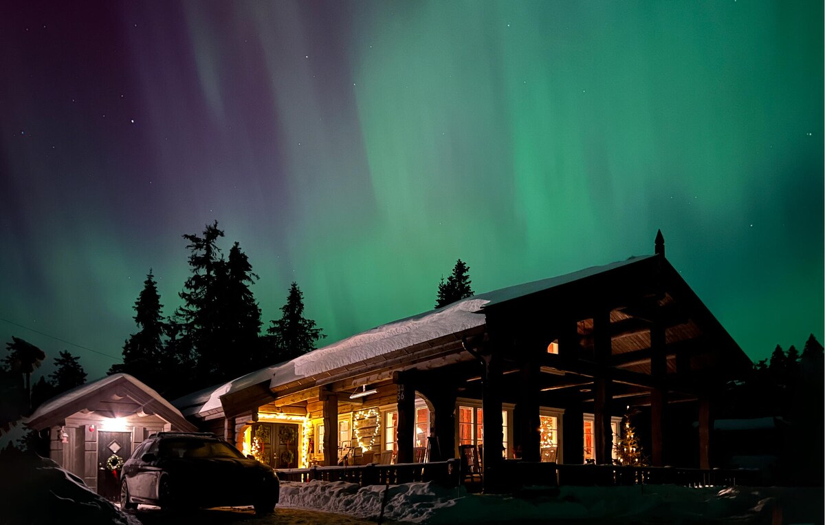 A holiday home features a rustic exterior with wooden beams and snow-covered roofs, illuminated by warm lights from large windows. The night sky displays vibrant green northern lights, creating a stunning backdrop above the trees and peaceful surroundings.