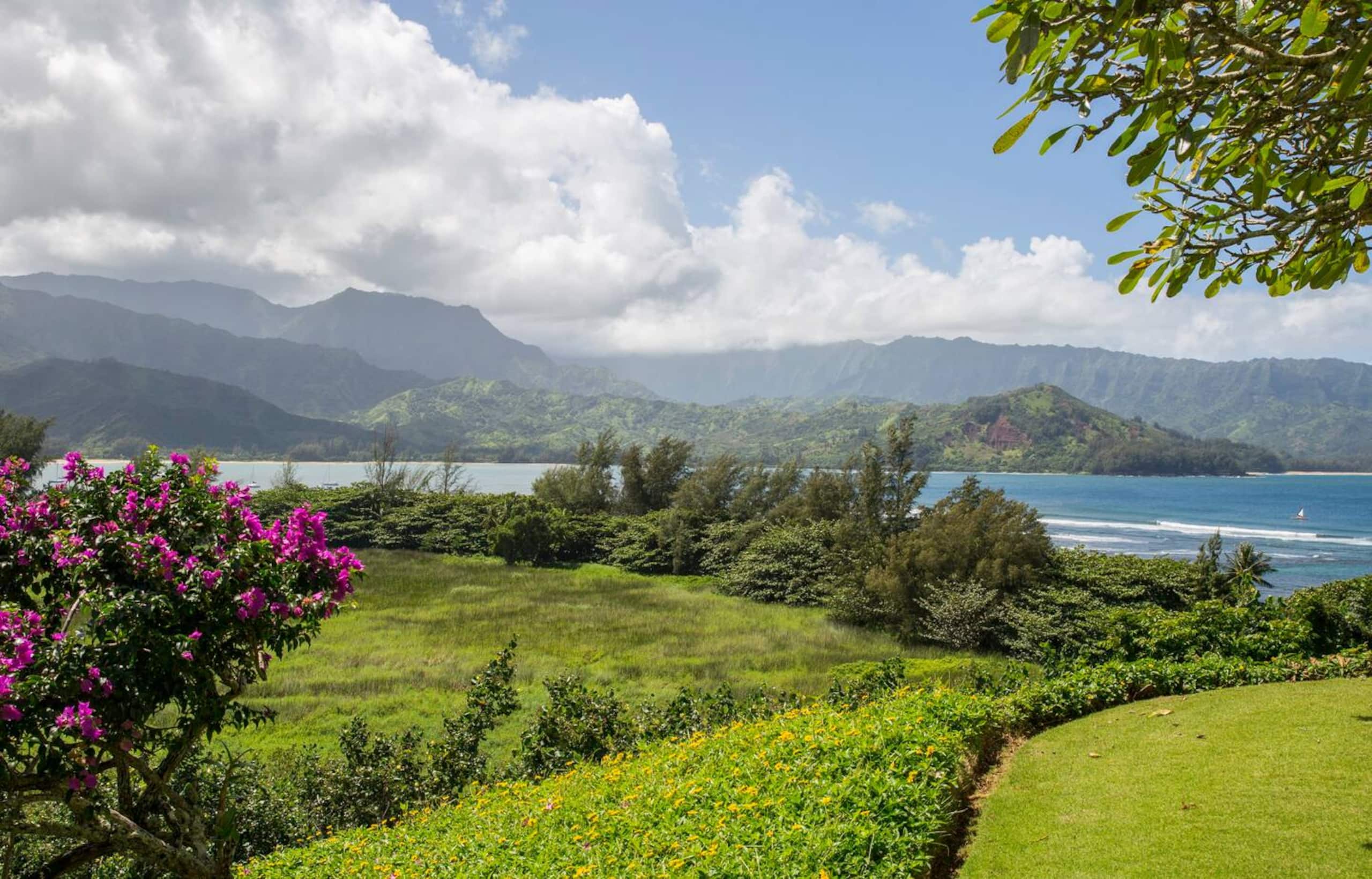 4BR Hanalei Bay Resort w/ Oceanviews, Pool & AC - Photo 29