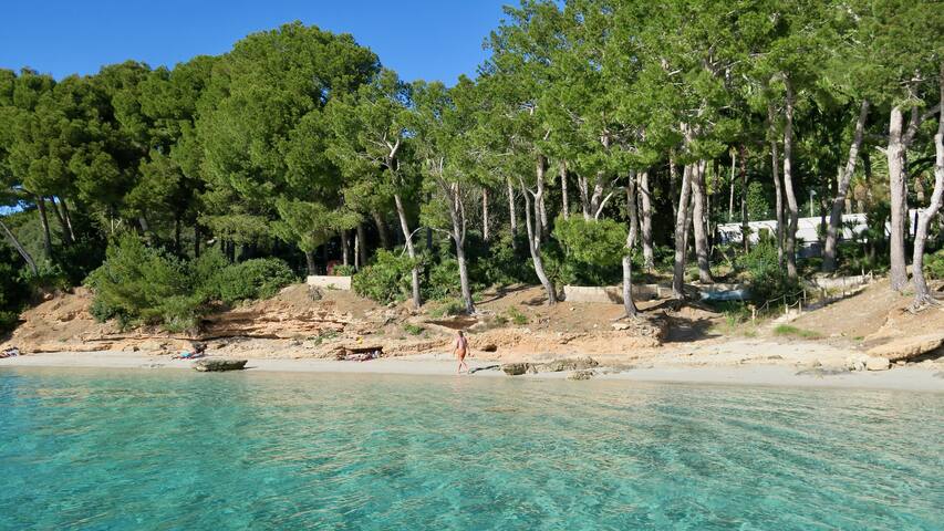 Beautiful Villa for a family holiday in Pollensa gallery image 4