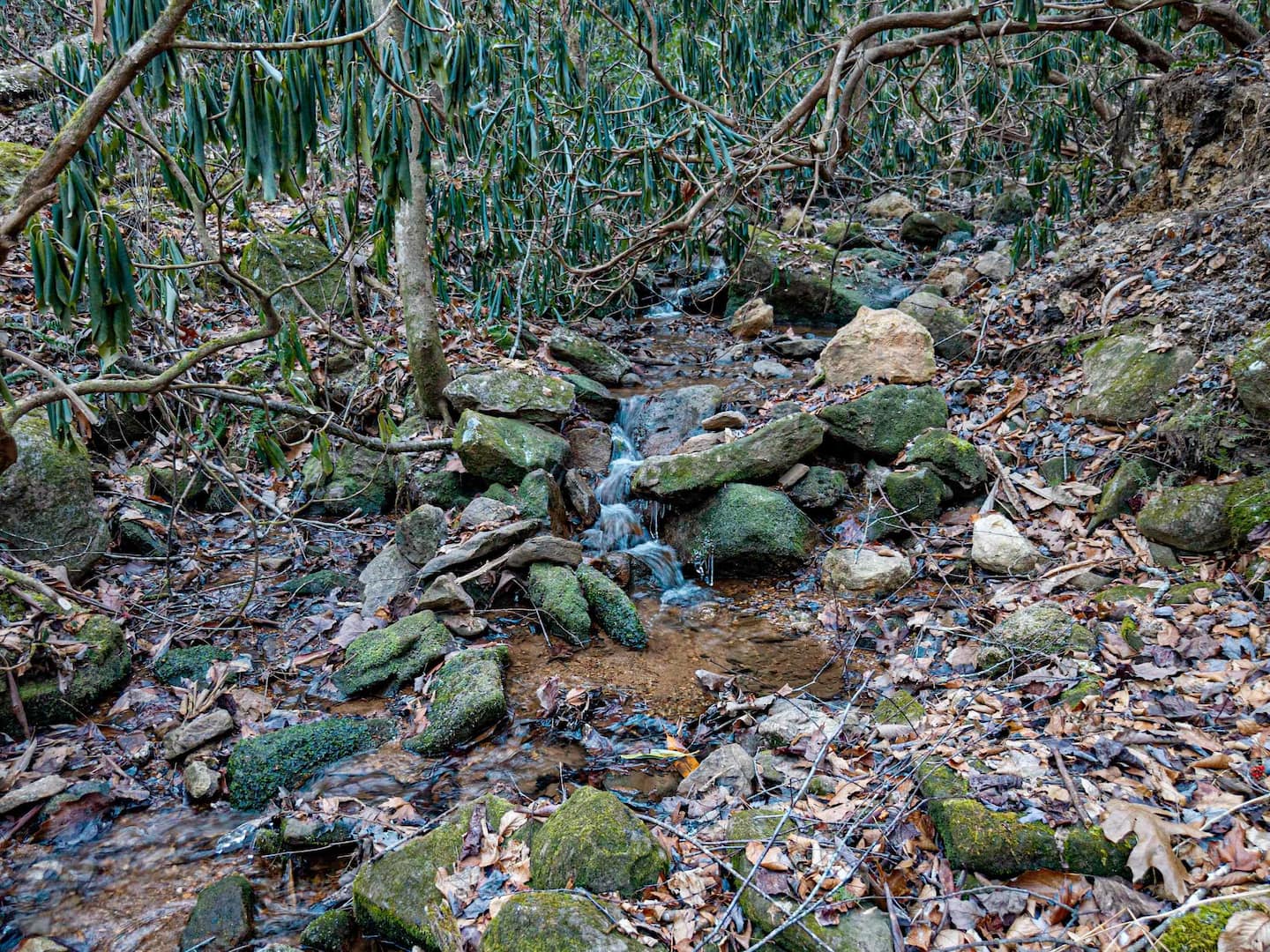 Private creek with rocky cascades on the 4-acre property
