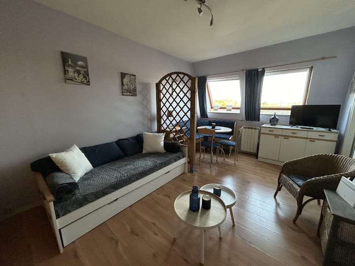 Studio Cosy En Centre-ville, Proche Thermes - La Roche-Posay