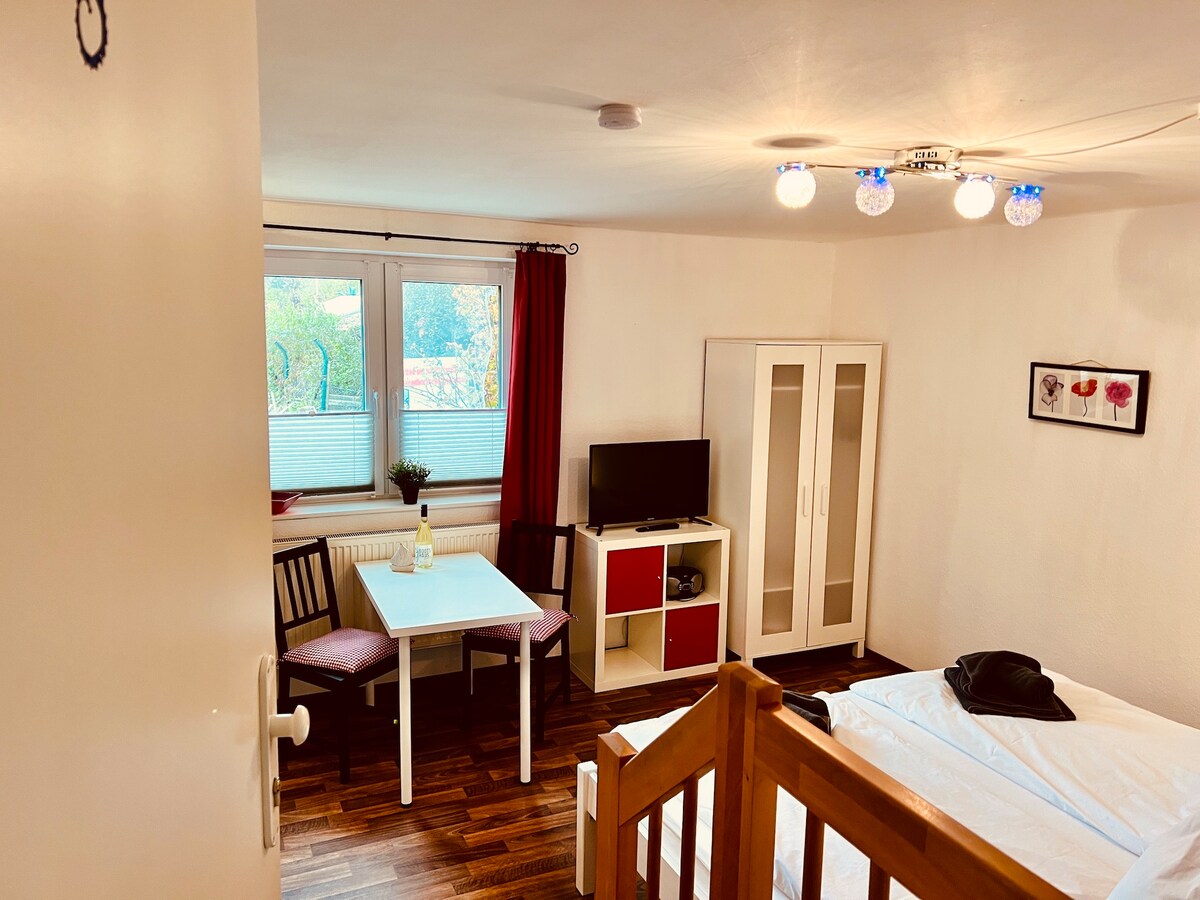 A well-furnished interior features a sleeping area, a small table with two chairs, and a wardrobe. A television is positioned on a red and white console. Natural light enters through the window, and the room is decorated with a few framed artworks.
