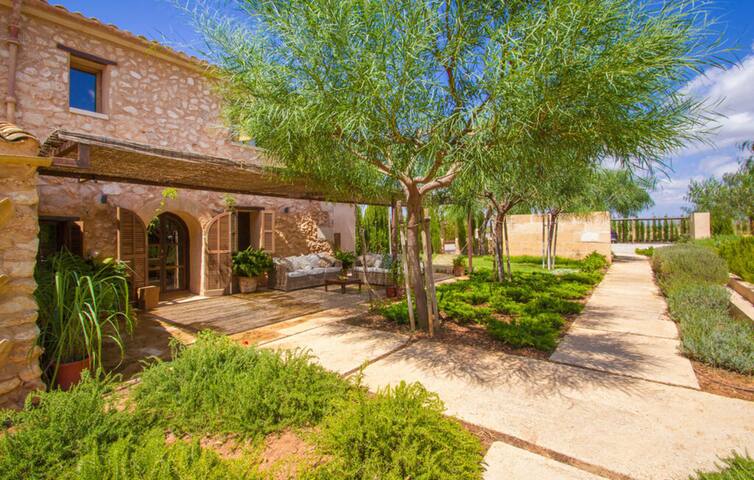 Son Sec Nou gallery image 5