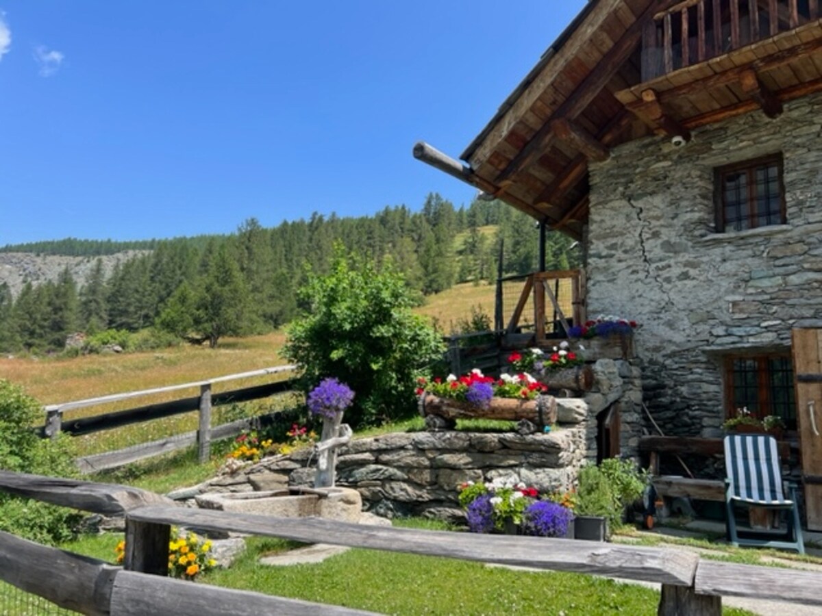 A rustic stone exterior of a chalet is surrounded by well-tended gardens featuring vibrant flowers and greenery. Wooden accents enhance the charm, while a deck with seating overlooks the serene landscape of fields and woods in the background. The sky is clear and blue.