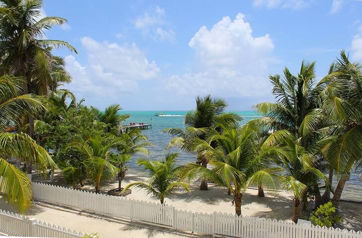 Ashton Court Belize: Condo gallery image 5