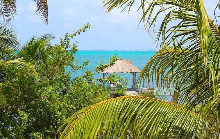 Ashton Court Belize: Condo