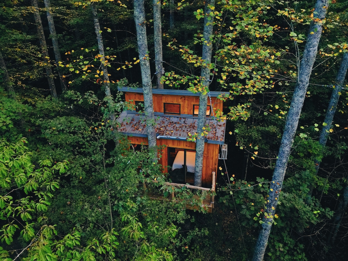 A charming treehouse is situated among tall trees, featuring wooden walls and a sloped roof. Windows allow natural light to filter through, surrounded by lush green foliage and hints of autumn leaves creating a serene, secluded atmosphere.