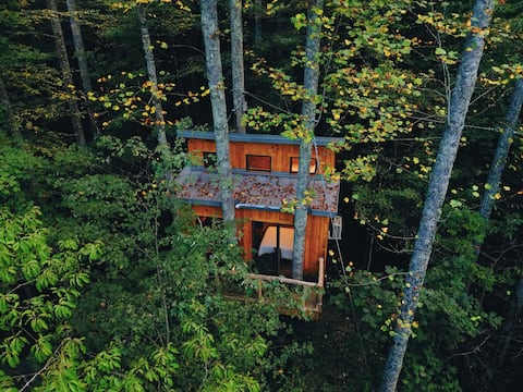 Parke's Stand- Treehouse