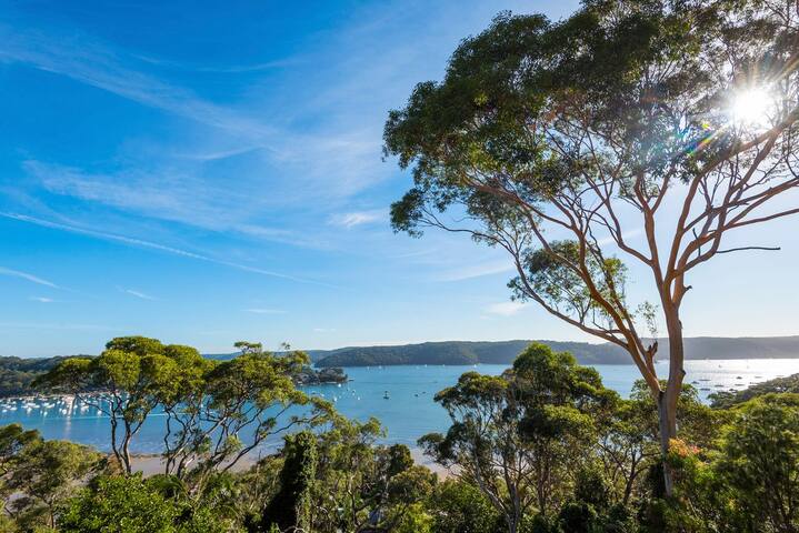 Sapphire by Palm Beach Holiday Rentals gallery image 5