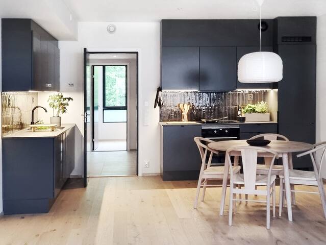 Brand new 3 BR urban condo in central Oslo 970 ft2 gallery image 5