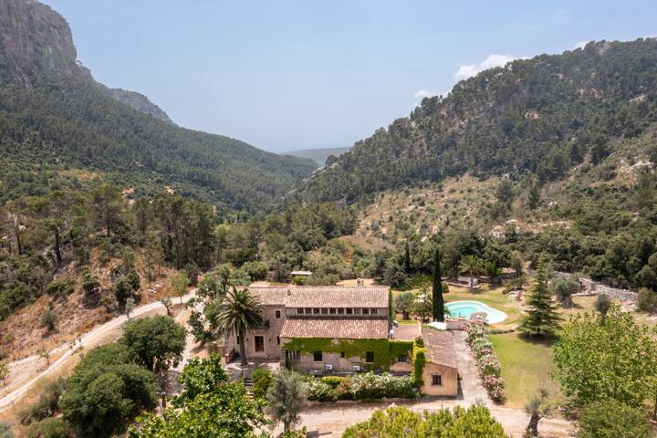 Honor Vell – Surrounded by nature gallery image 5