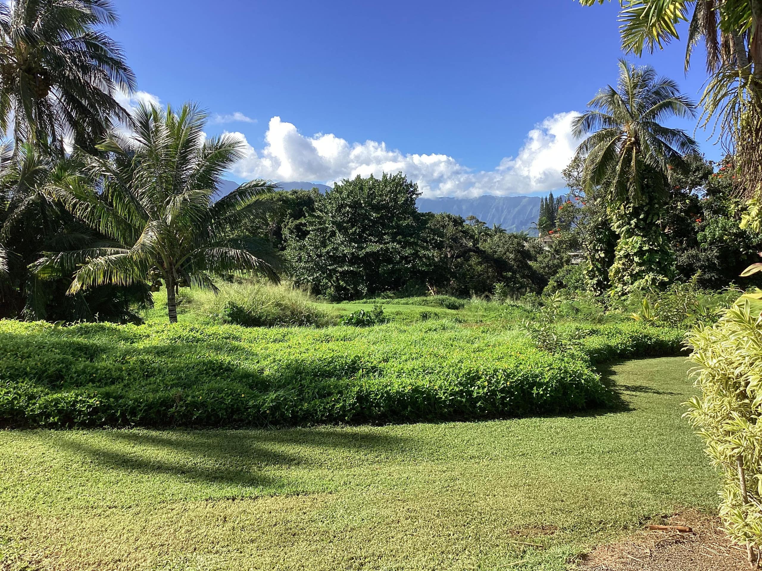 Updated Ground Floor Escape w/ Lanai & Pool - Photo 7
