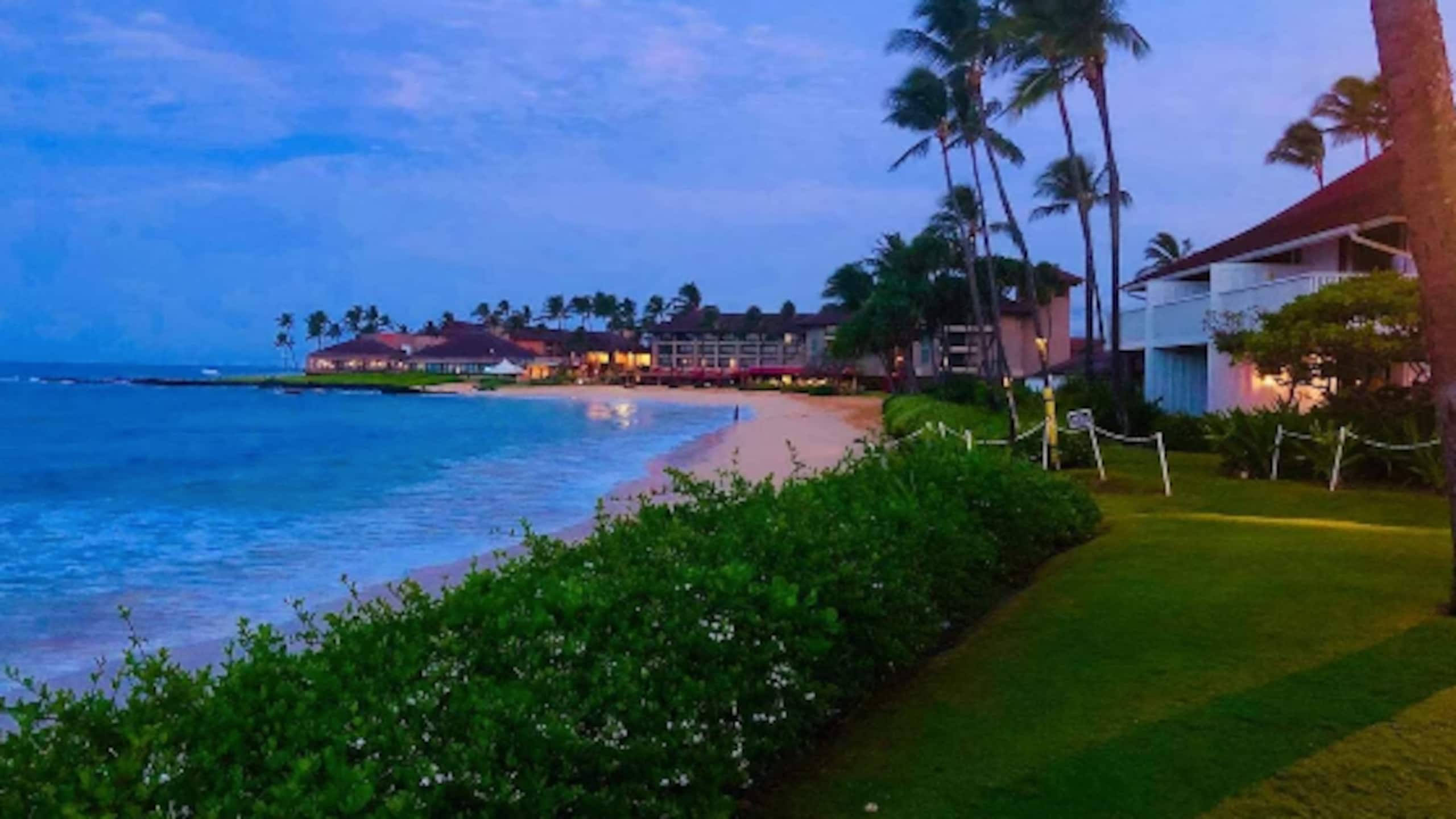 KP191 Ground FL | Beachfront • Pool • Gym - Image 43