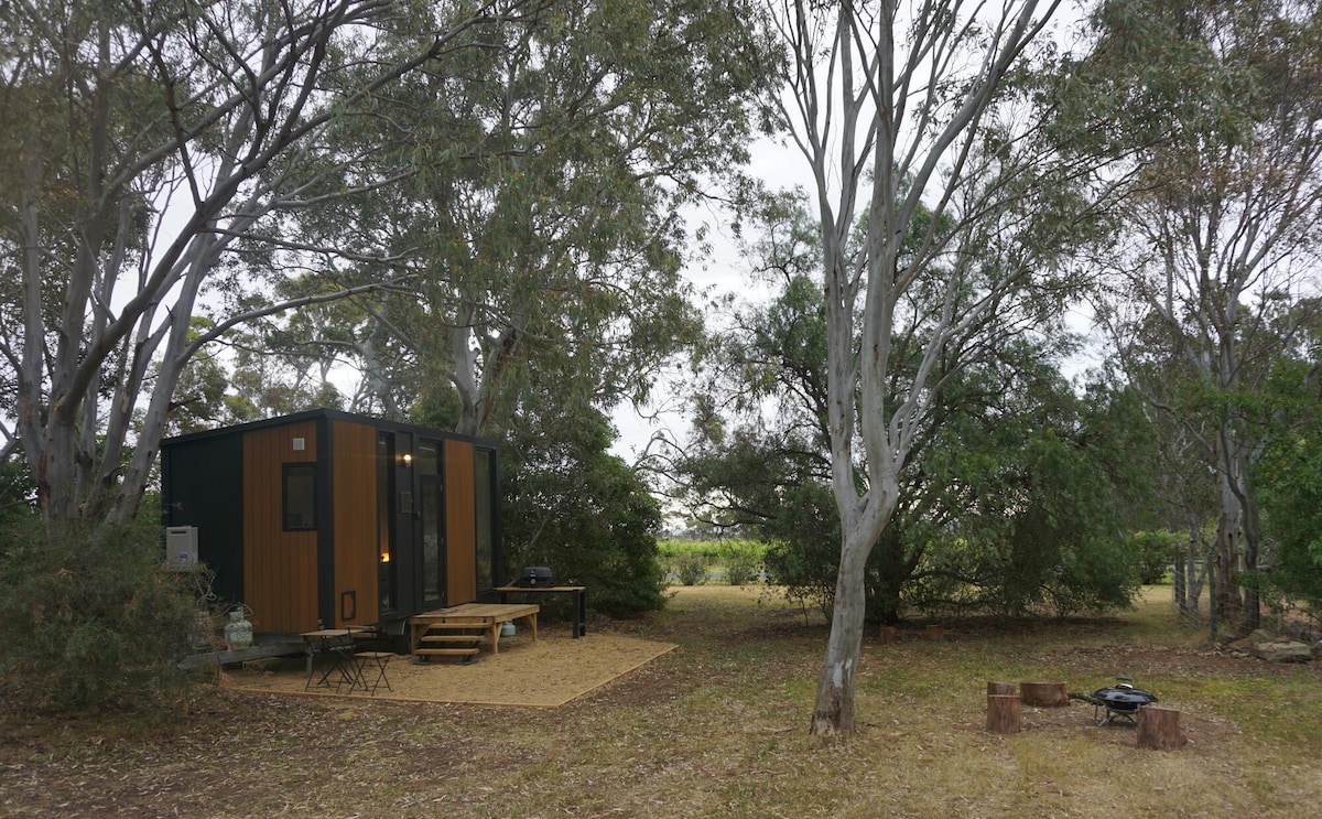 A tiny cabin is situated among eucalyptus trees in a serene outdoor setting. The cabin features a modern design with dark cladding and large windows. A fire pit area with log seating is visible, surrounded by natural landscapes and soft earth tones.