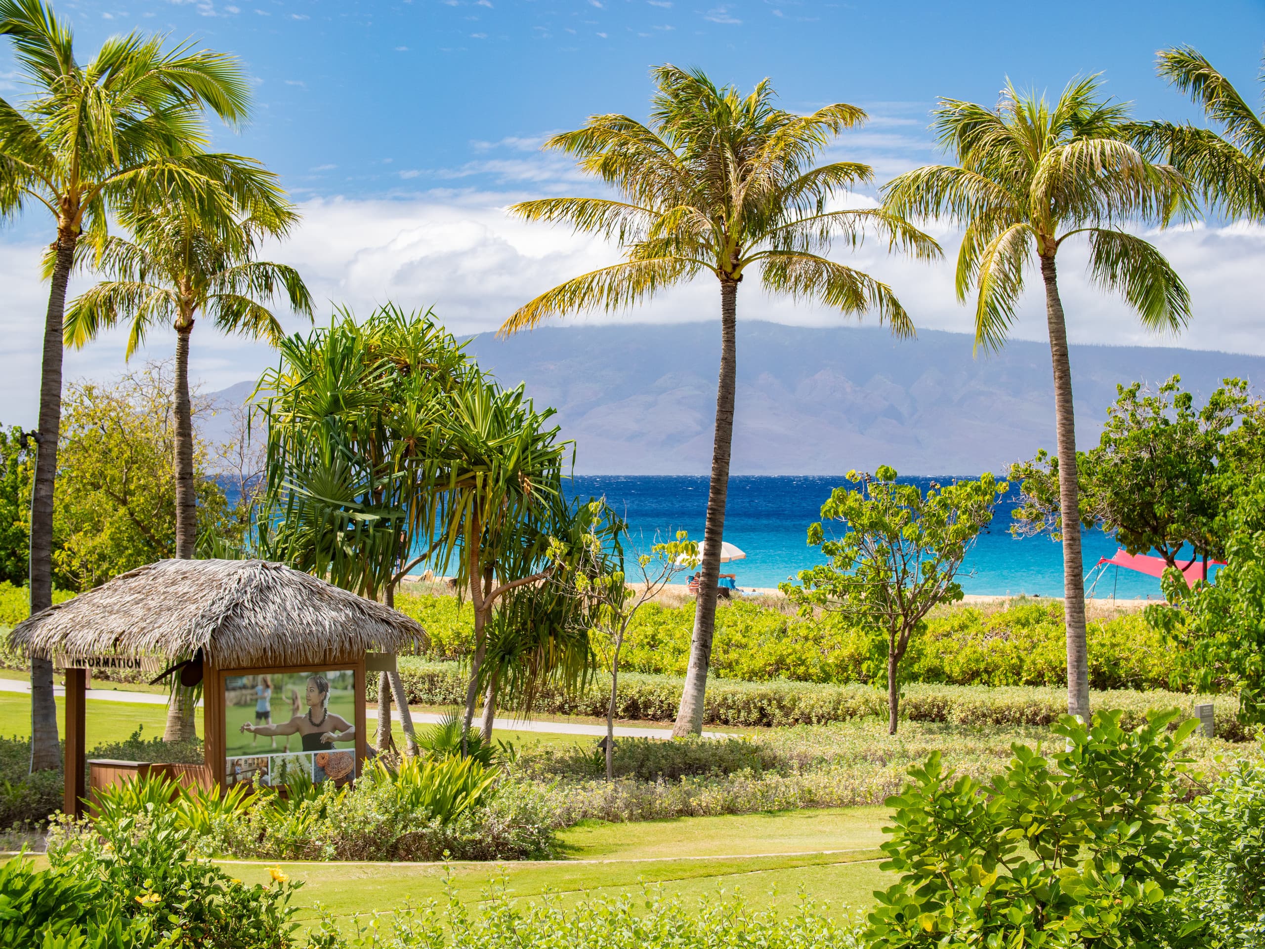 Home in Lahaina · ★5.0 · 3 bedrooms · 4 beds · 3 baths - Image 46