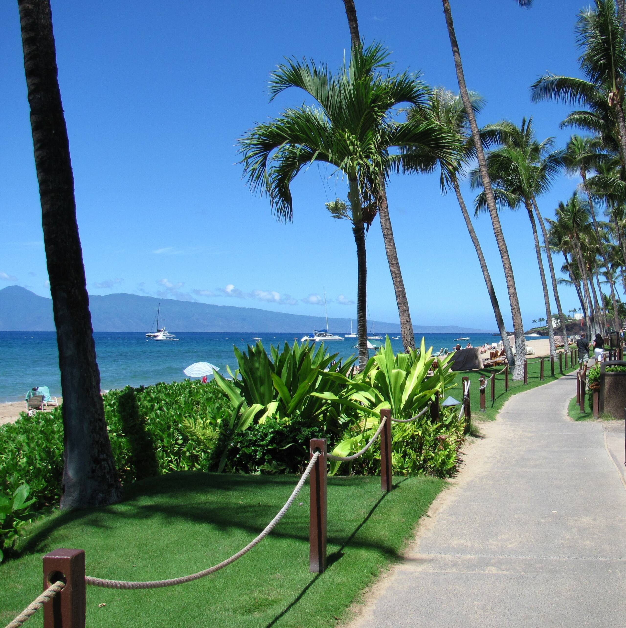 Home in Lahaina · ★5.0 · 3 bedrooms · 4 beds · 3 baths - Image 96