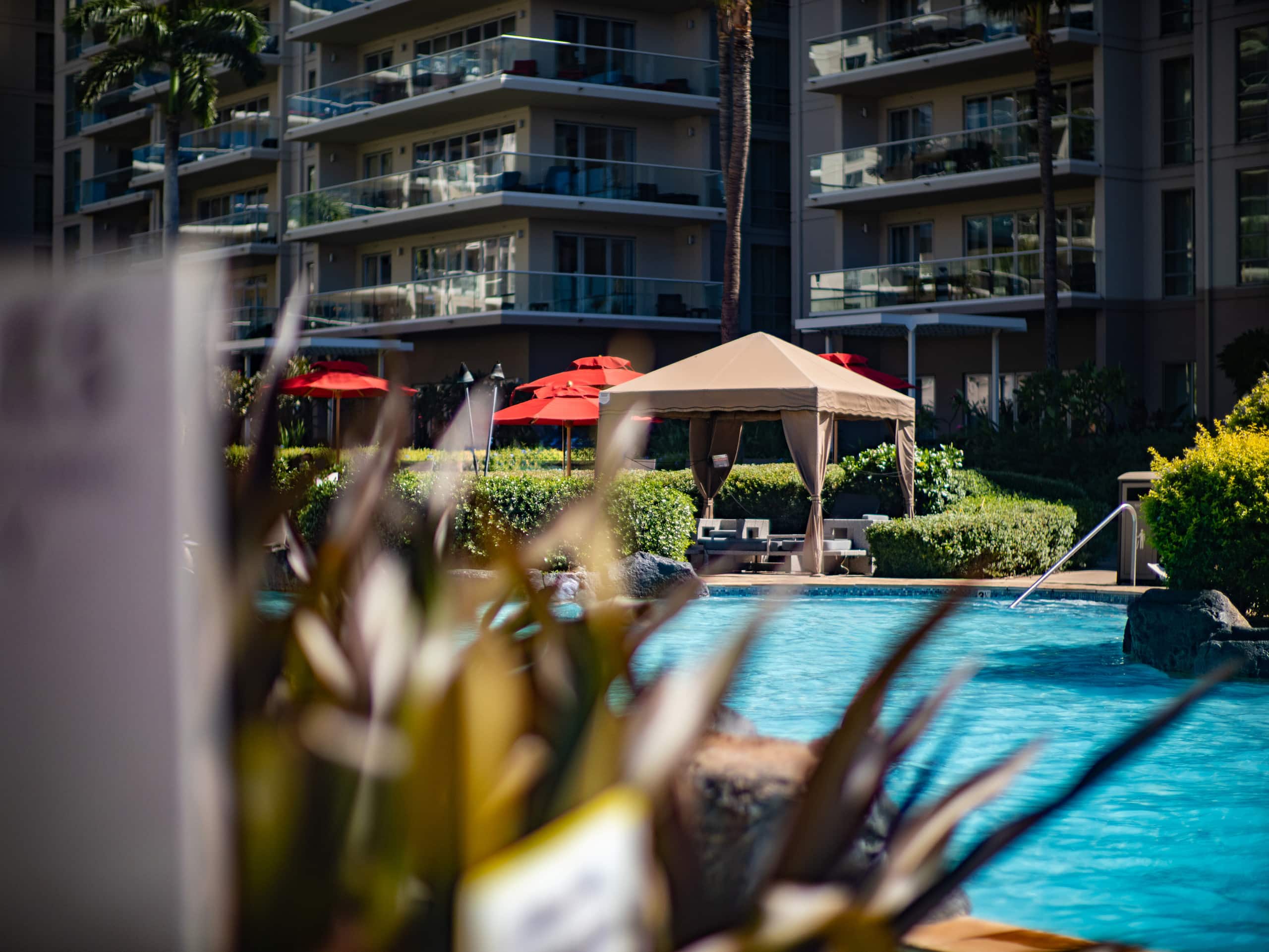 Home in Lahaina · ★5.0 · 3 bedrooms · 4 beds · 3 baths - Image 80