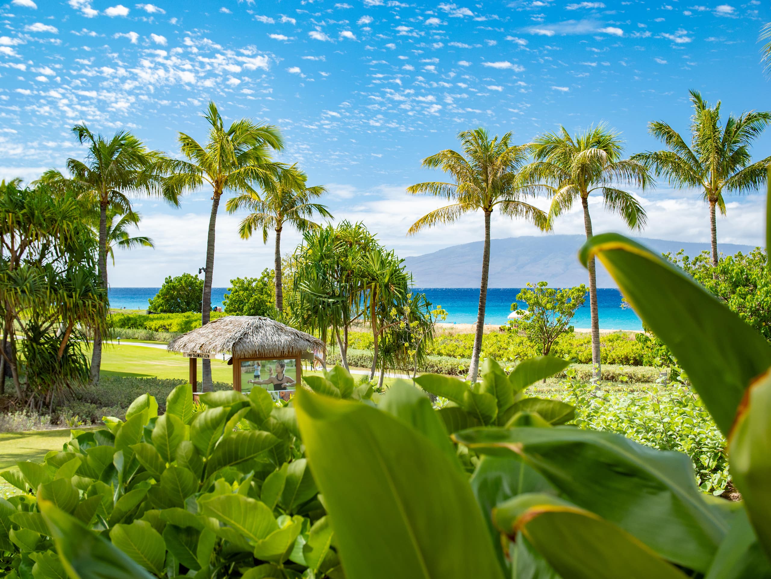 Home in Lahaina · ★5.0 · 3 bedrooms · 4 beds · 3 baths - Image 43