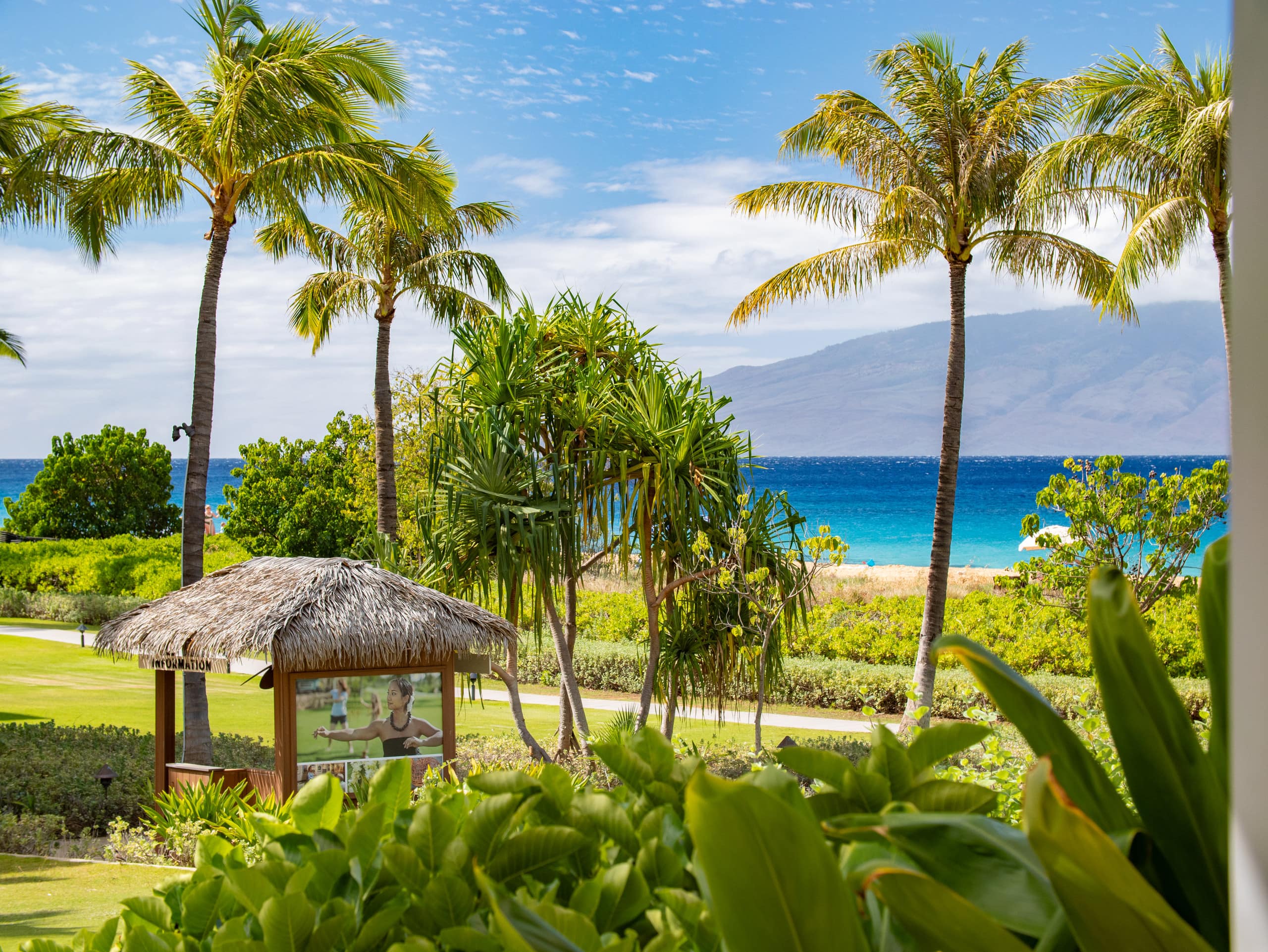 Home in Lahaina · ★5.0 · 3 bedrooms · 4 beds · 3 baths - Image 45