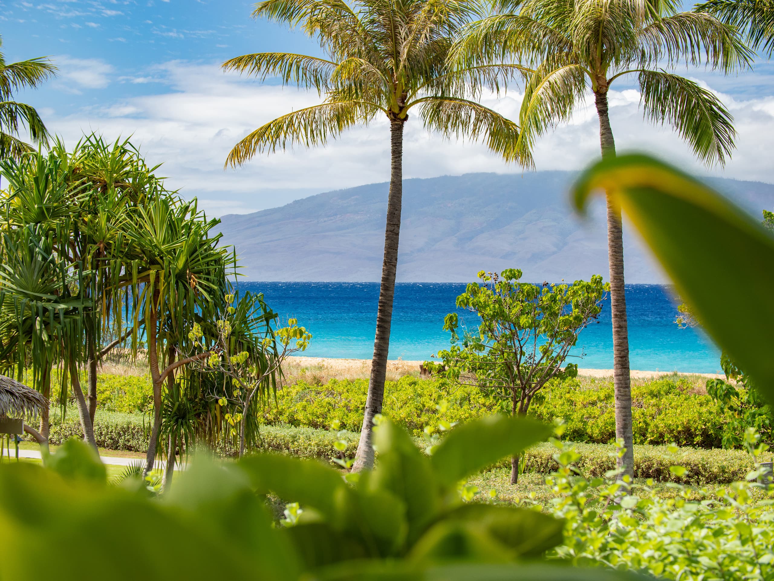 Home in Lahaina · ★5.0 · 3 bedrooms · 4 beds · 3 baths - Image 38