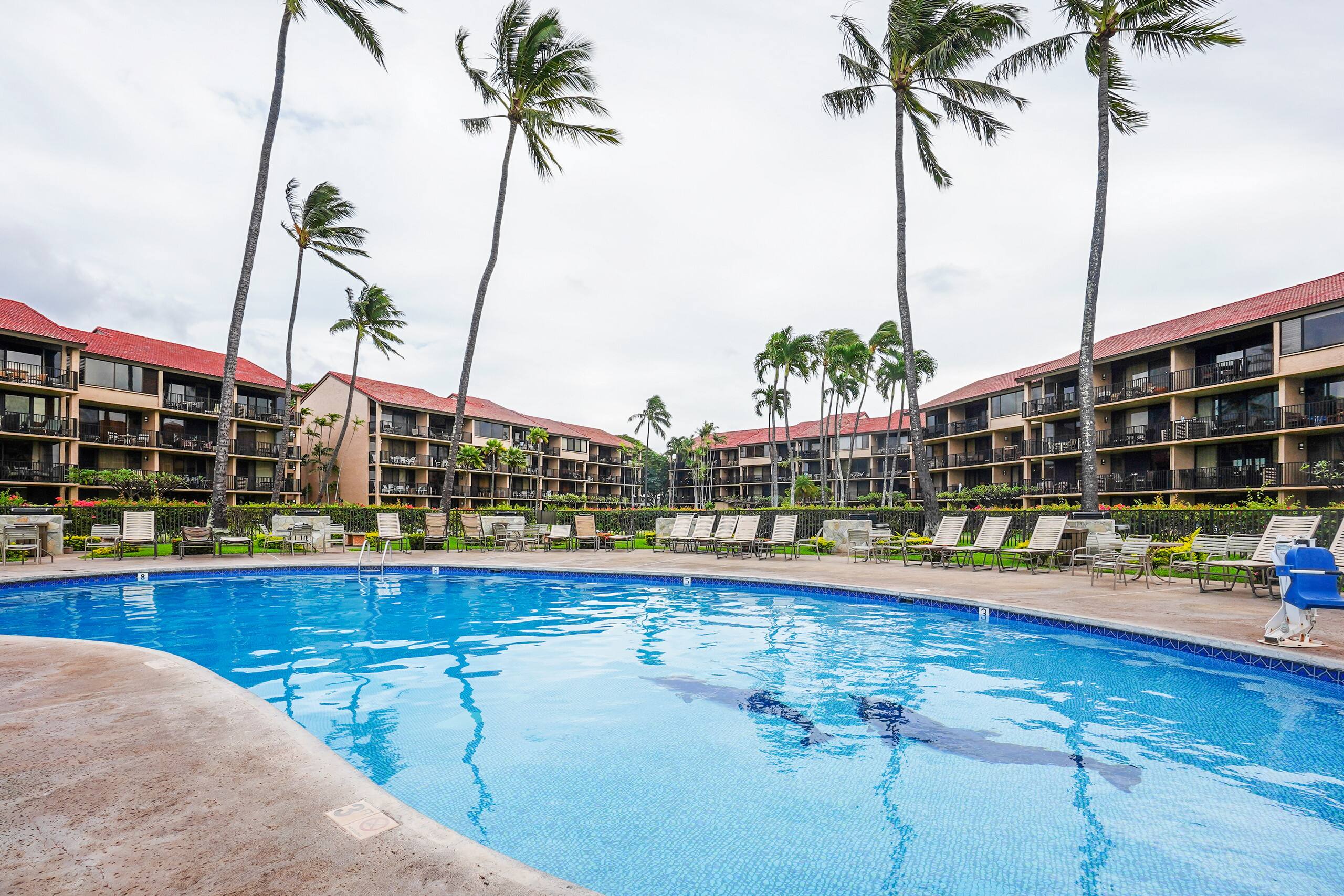 Home in Lahaina · ★4.8 · 1 bedroom · 2 beds · 1 private bath - Image 40
