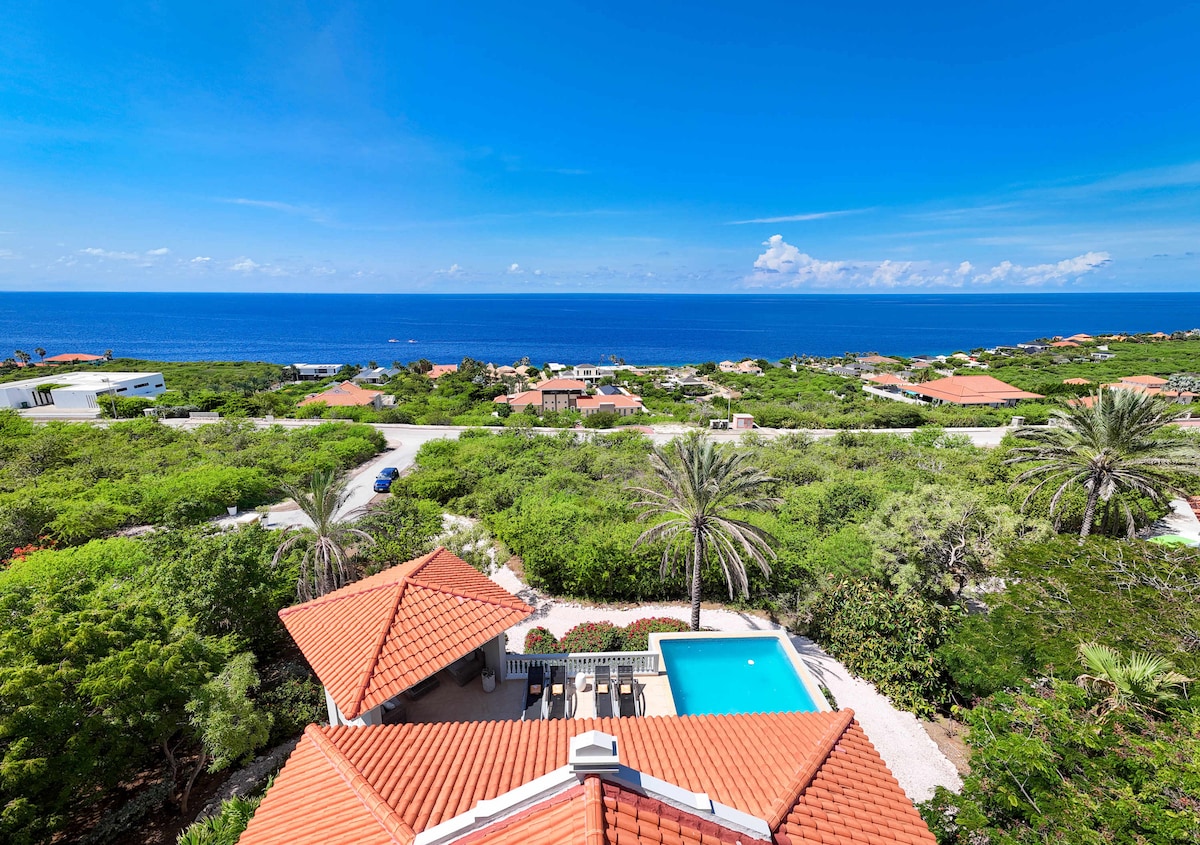 An expansive view of the Caribbean Sea is captured from a balcony, showcasing vibrant blue water against a clear sky. Lush greenery surrounds a sparkling pool, with distant rooftops visible in the landscape, emphasizing the serene environment.