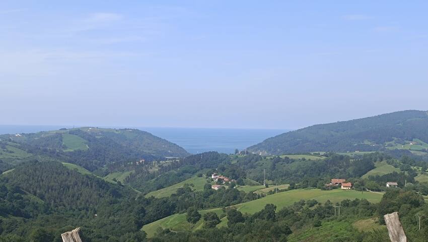 Lokate 5 Habitaciones gallery image 5