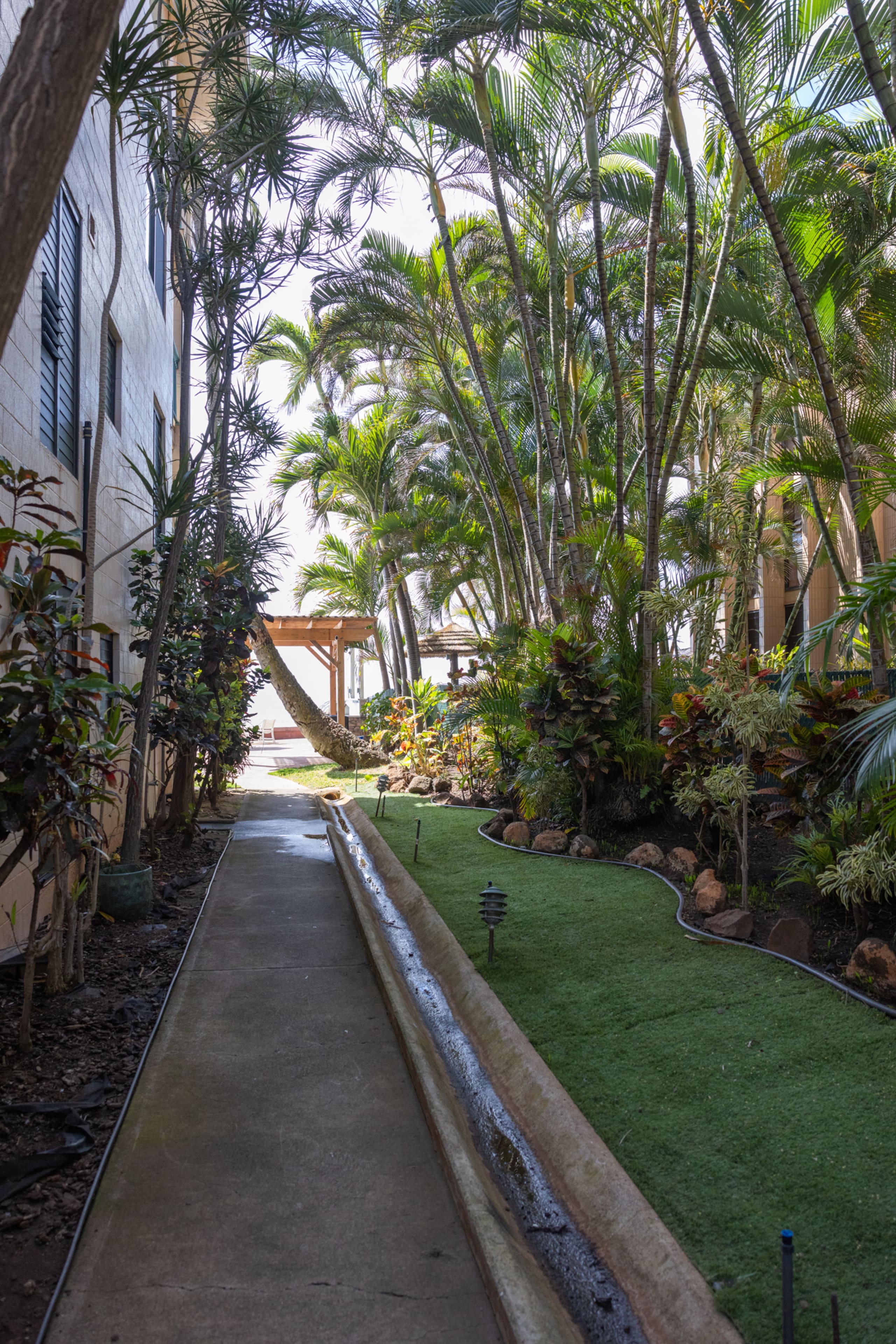 Condo in Lahaina · ★4.45 · 1 bedroom · 1 bed · 1 private bath - Image 9