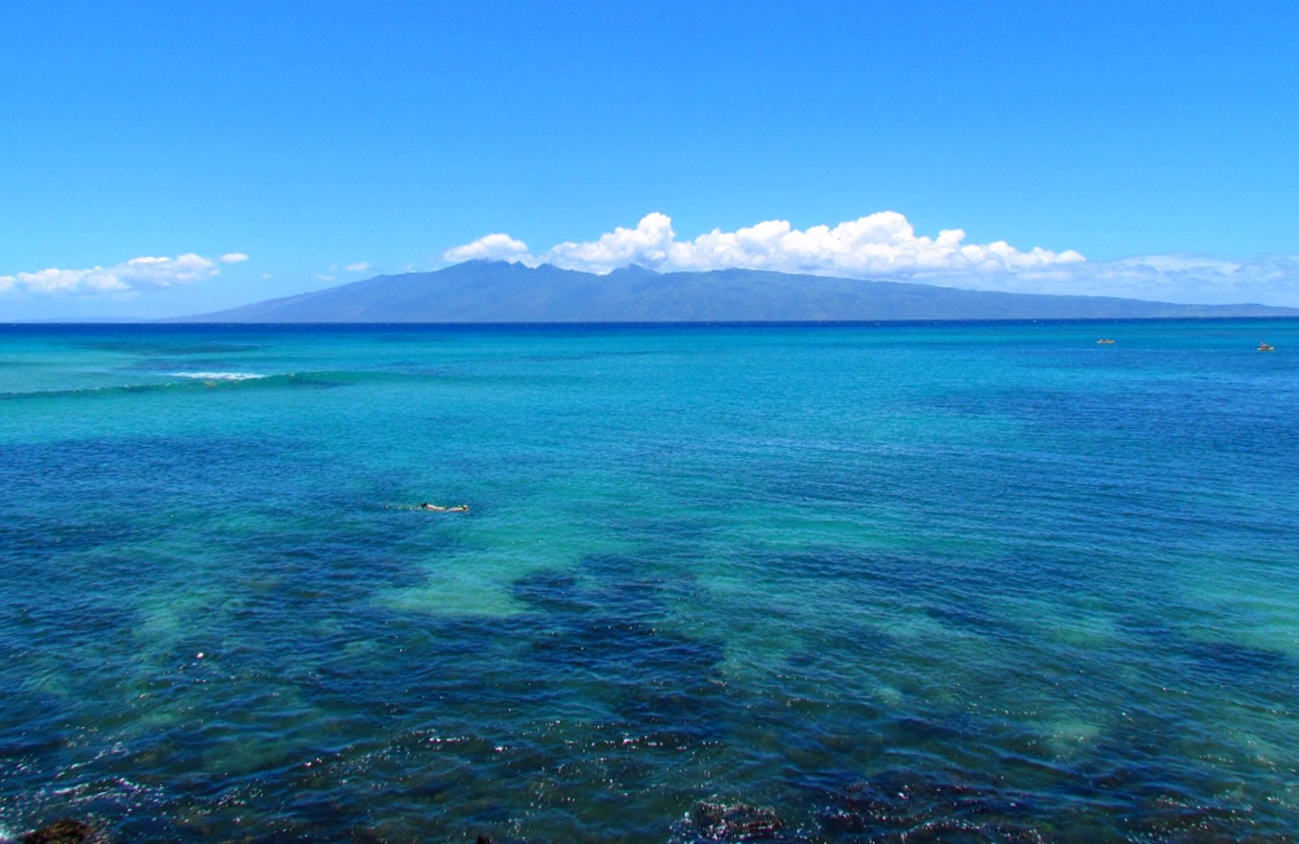 Condo in Lahaina · ★4.87 · 1 bedroom · 1 bed · 1 bath - Image 46