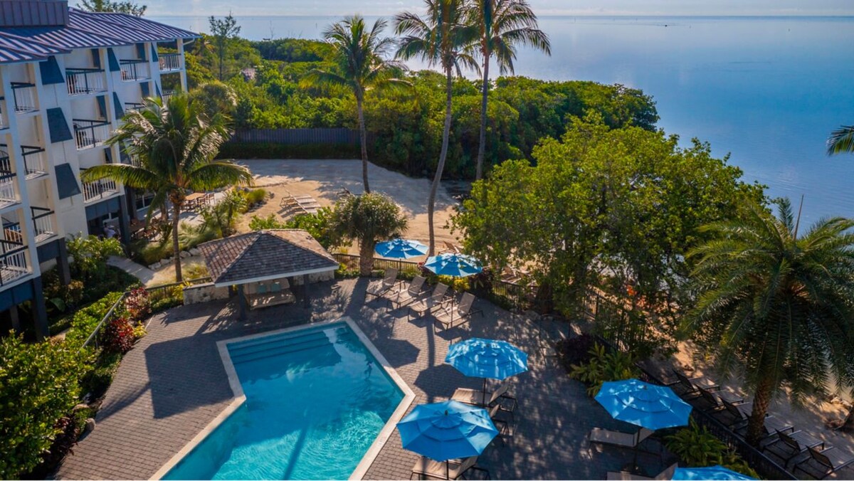 An aerial view captures a resort-style pool bordered by lounge chairs and blue umbrellas, surrounded by lush greenery. The beach area is visible in the background, with calm waters reflecting the serene environment.