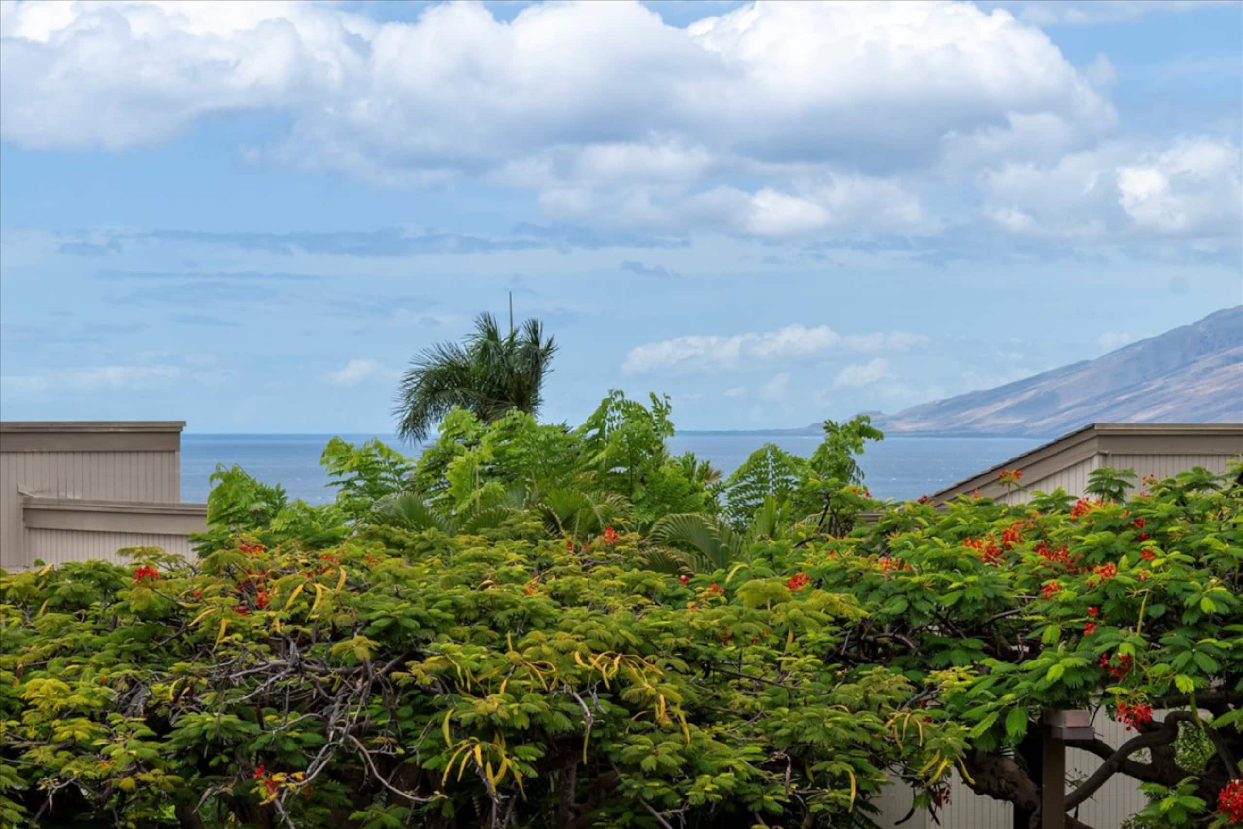 A.R.A Retreats: Ocean Breeze - Image 30