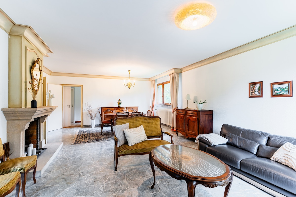 A spacious living room is depicted, featuring a combination of elegant furniture with soft seating arrangements. A fireplace adds to the room's charm. Light streams through large windows, illuminating wooden cabinets and a dining area in the background, enhancing the inviting atmosphere.