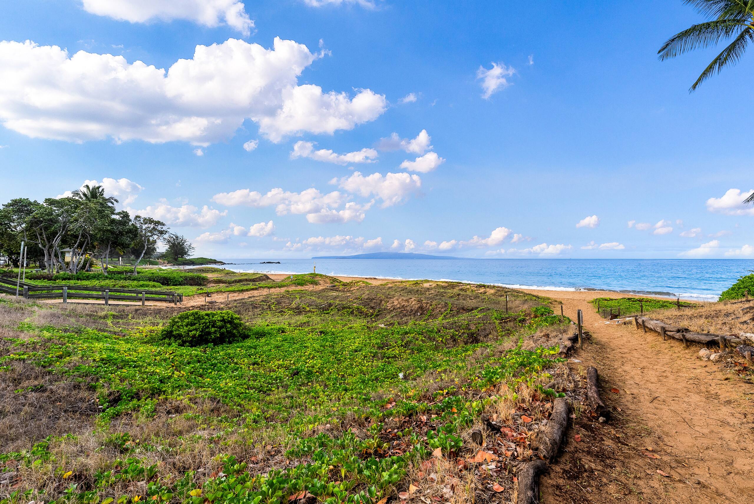 Condo in Kihei · ★4.67 · 1 bedroom · 2 beds · 1 shared bath - Image 34