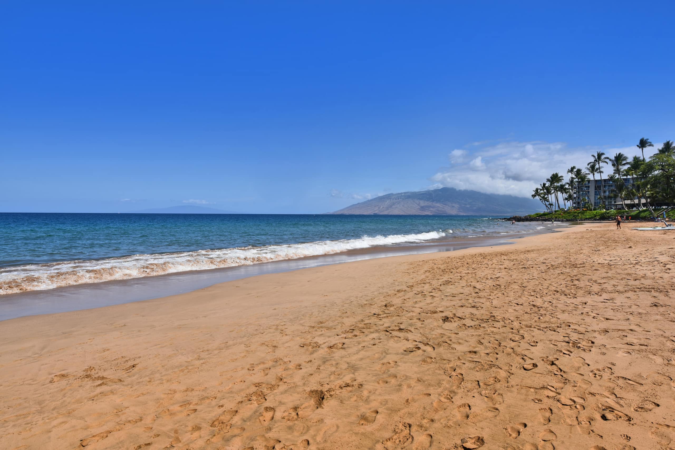Condo in Kihei · ★4.67 · 1 bedroom · 2 beds · 1 shared bath - Image 55